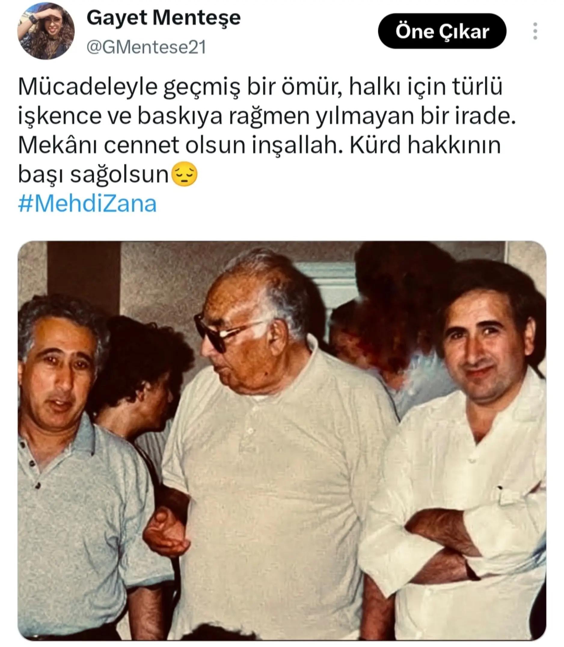 @Gayet Menteşe