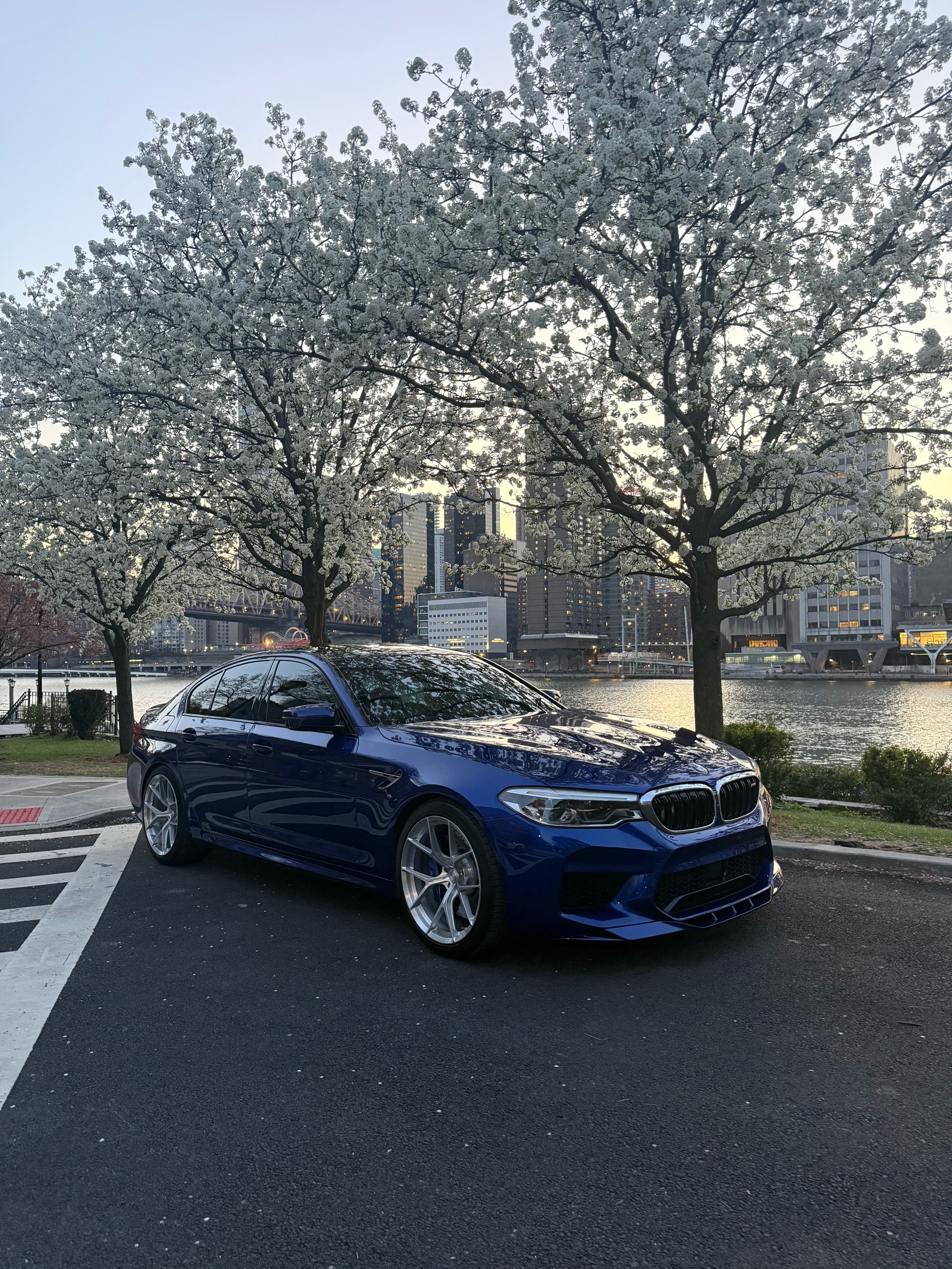 @m5.pule