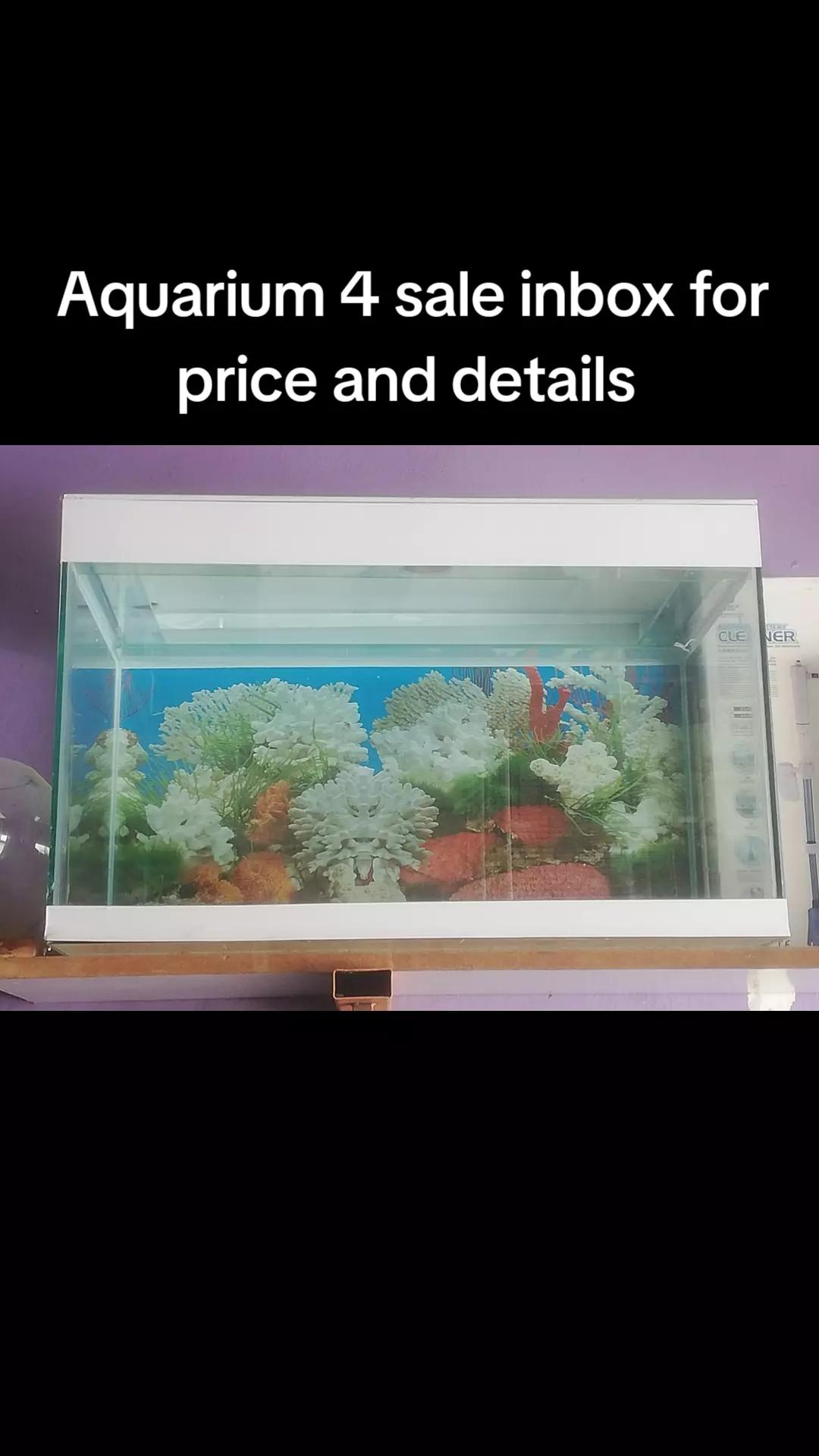 @BALO'S AQUARIUMS