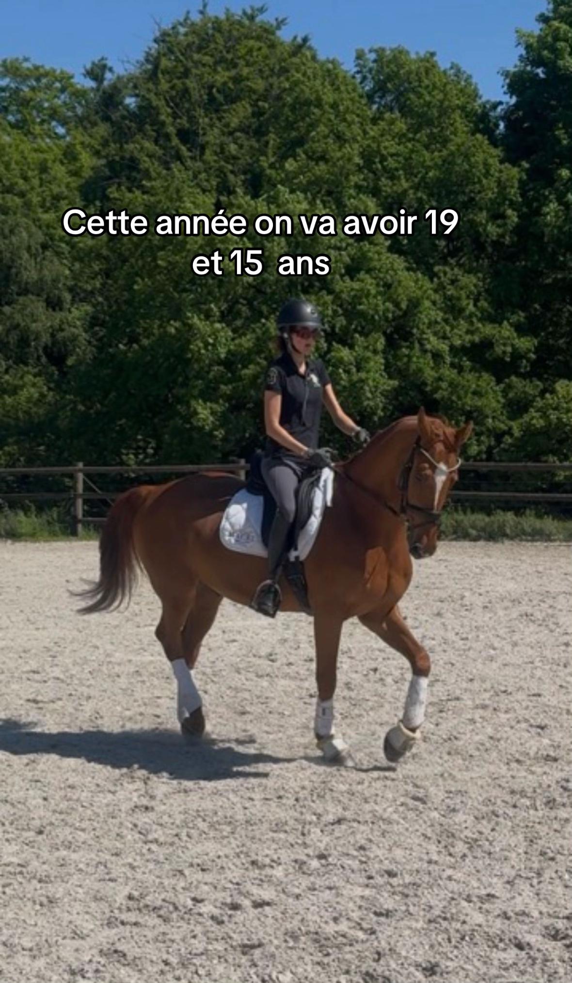 @lea.cavaliere