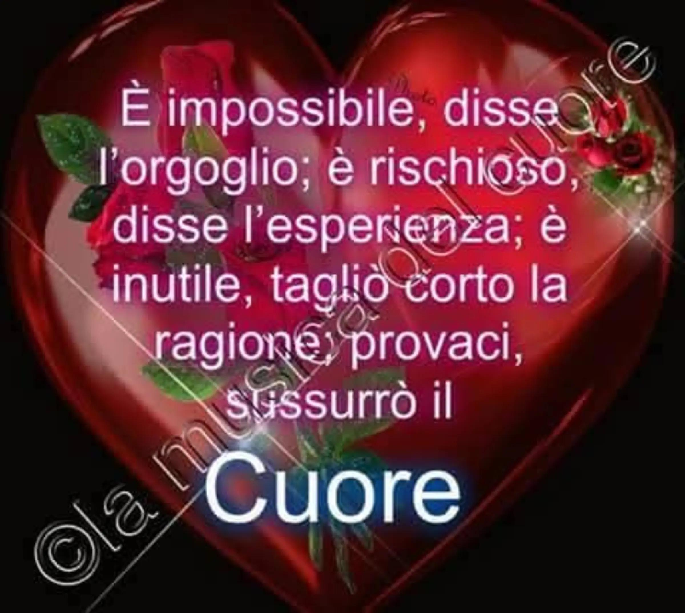 @massimopaniccia58