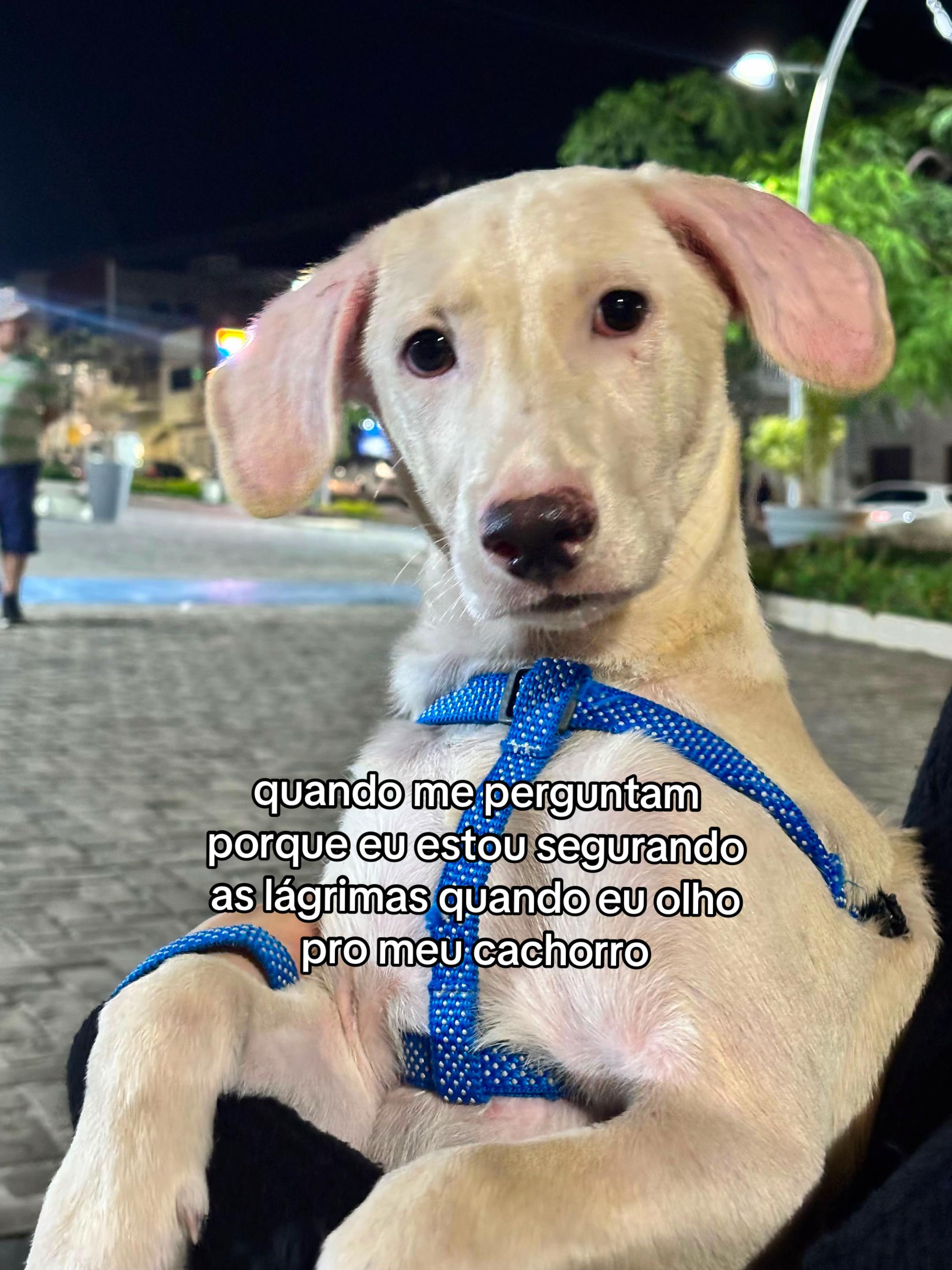 @S