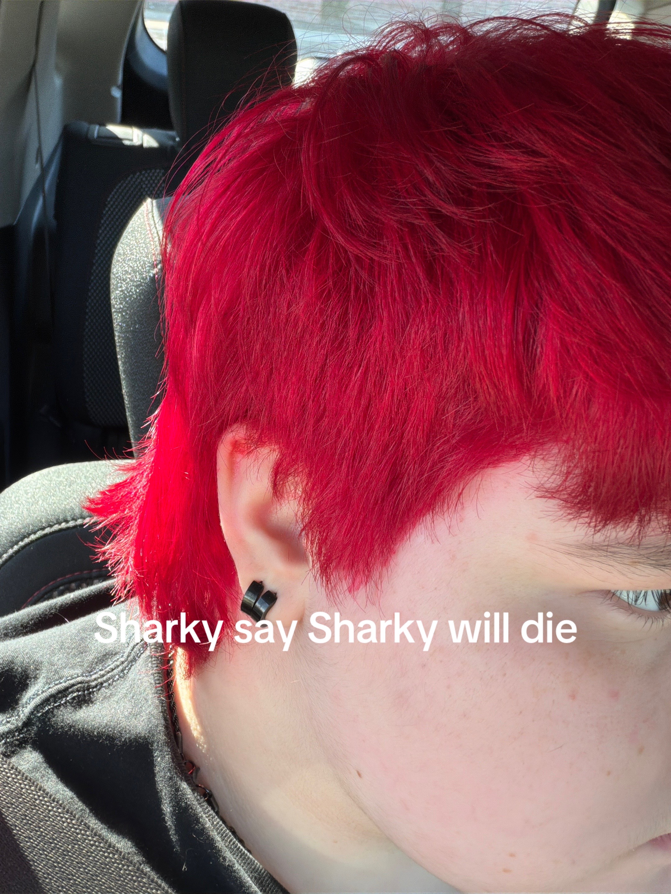 @🕸️Sharky Weird Al’s version🪗