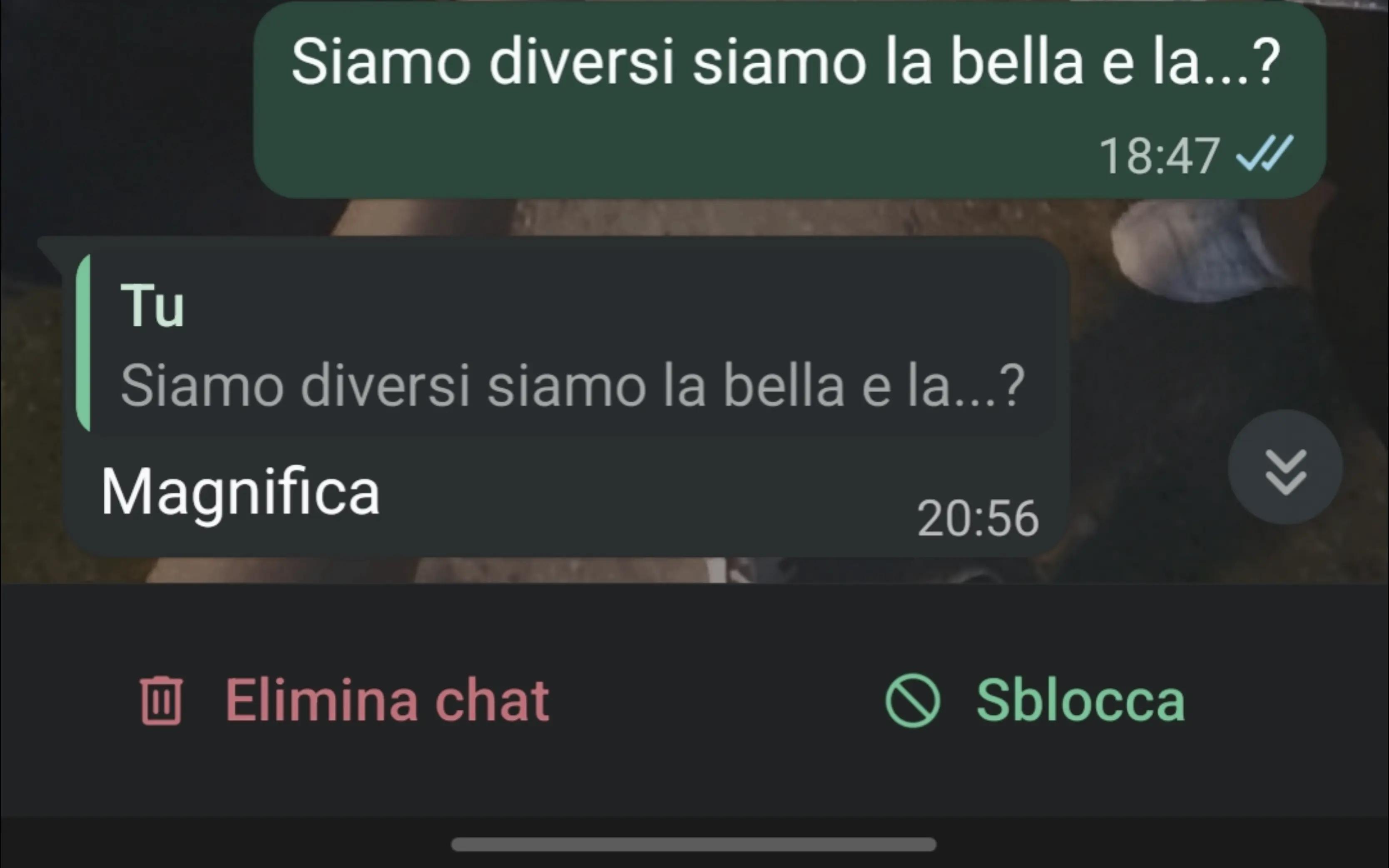 @Sara._