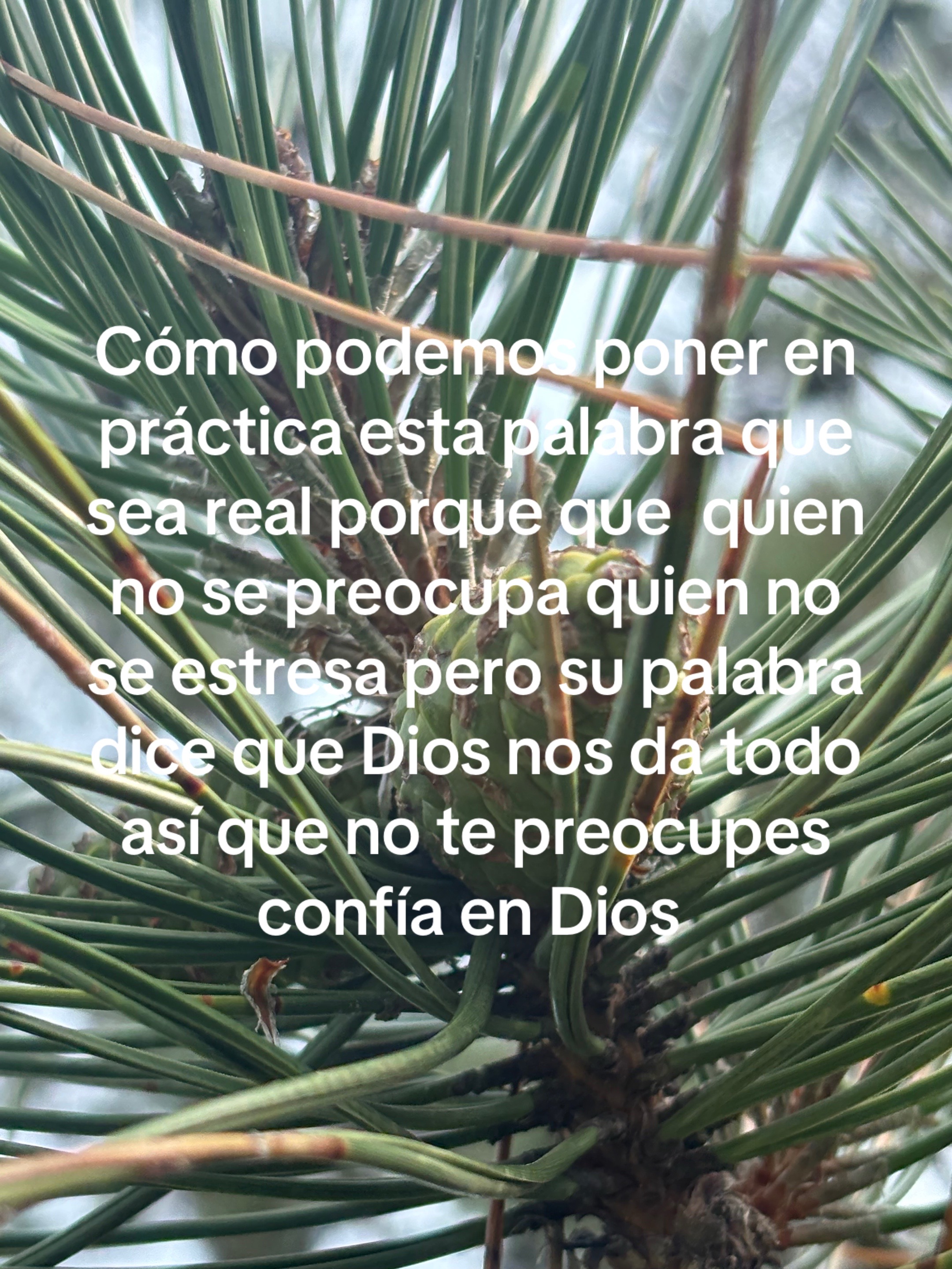 @Araceli vences