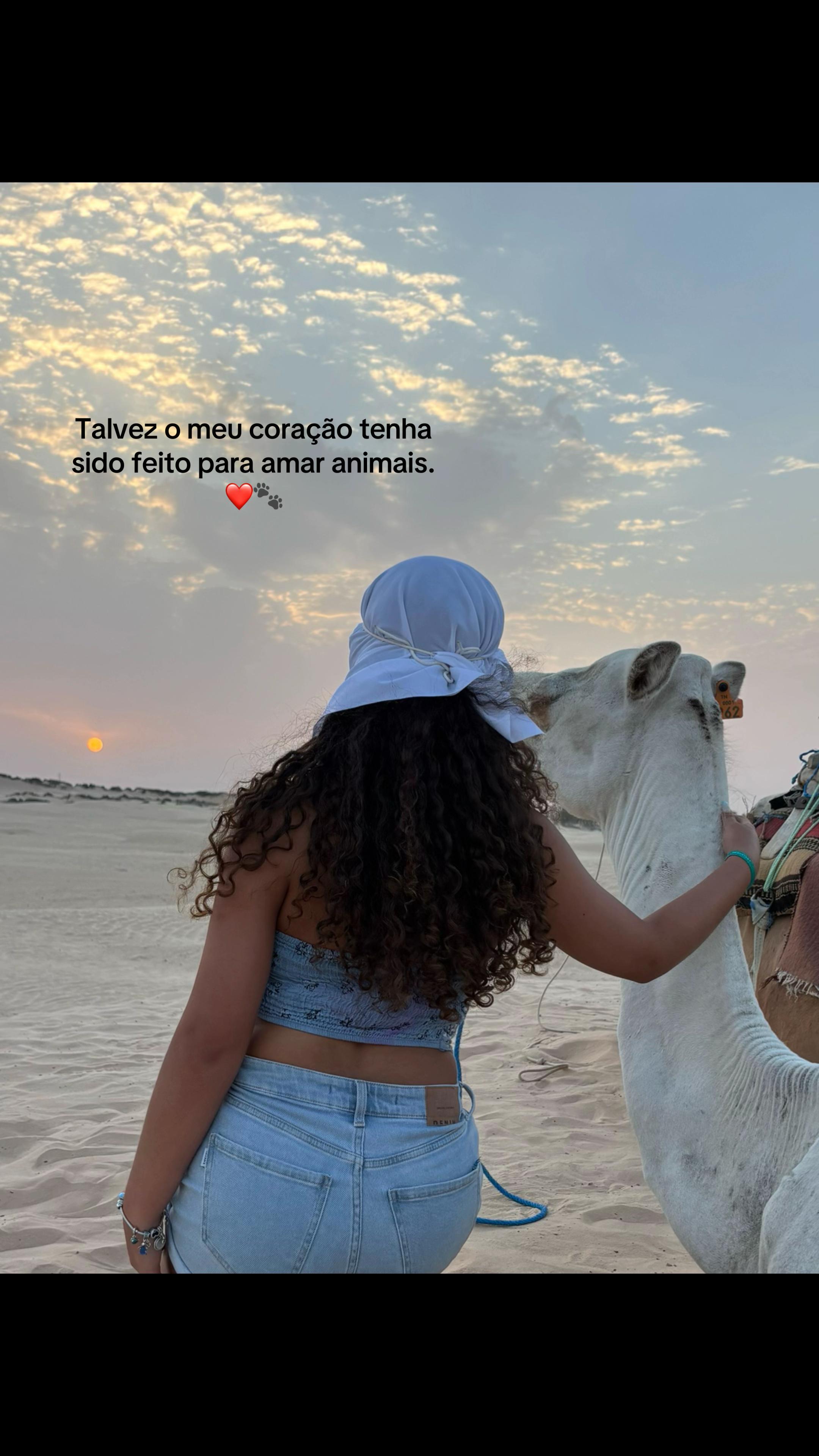 @laratorrez_