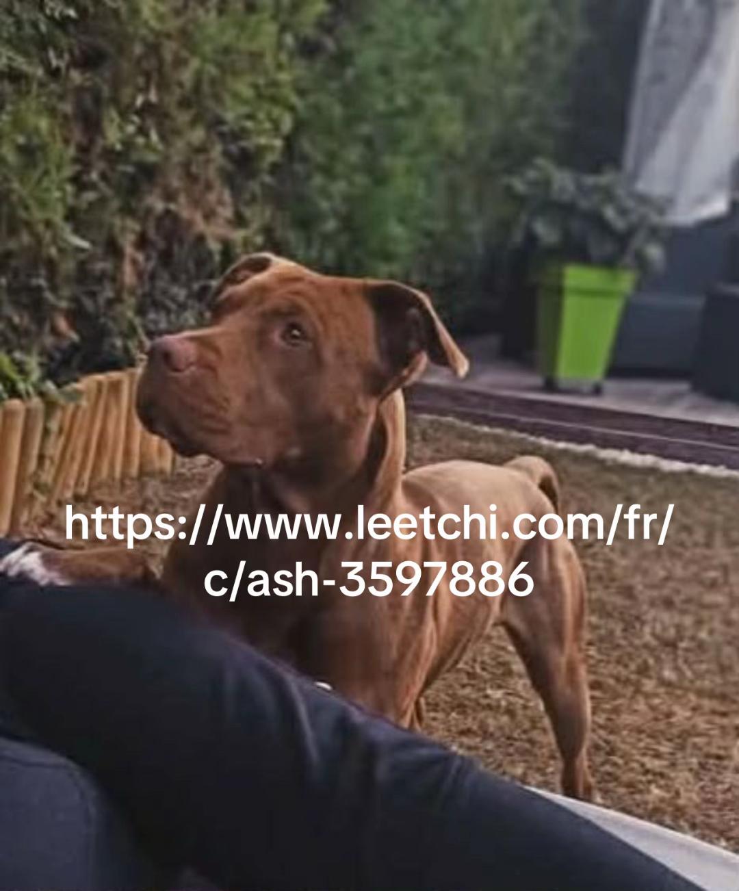 @L’arche de LSKO