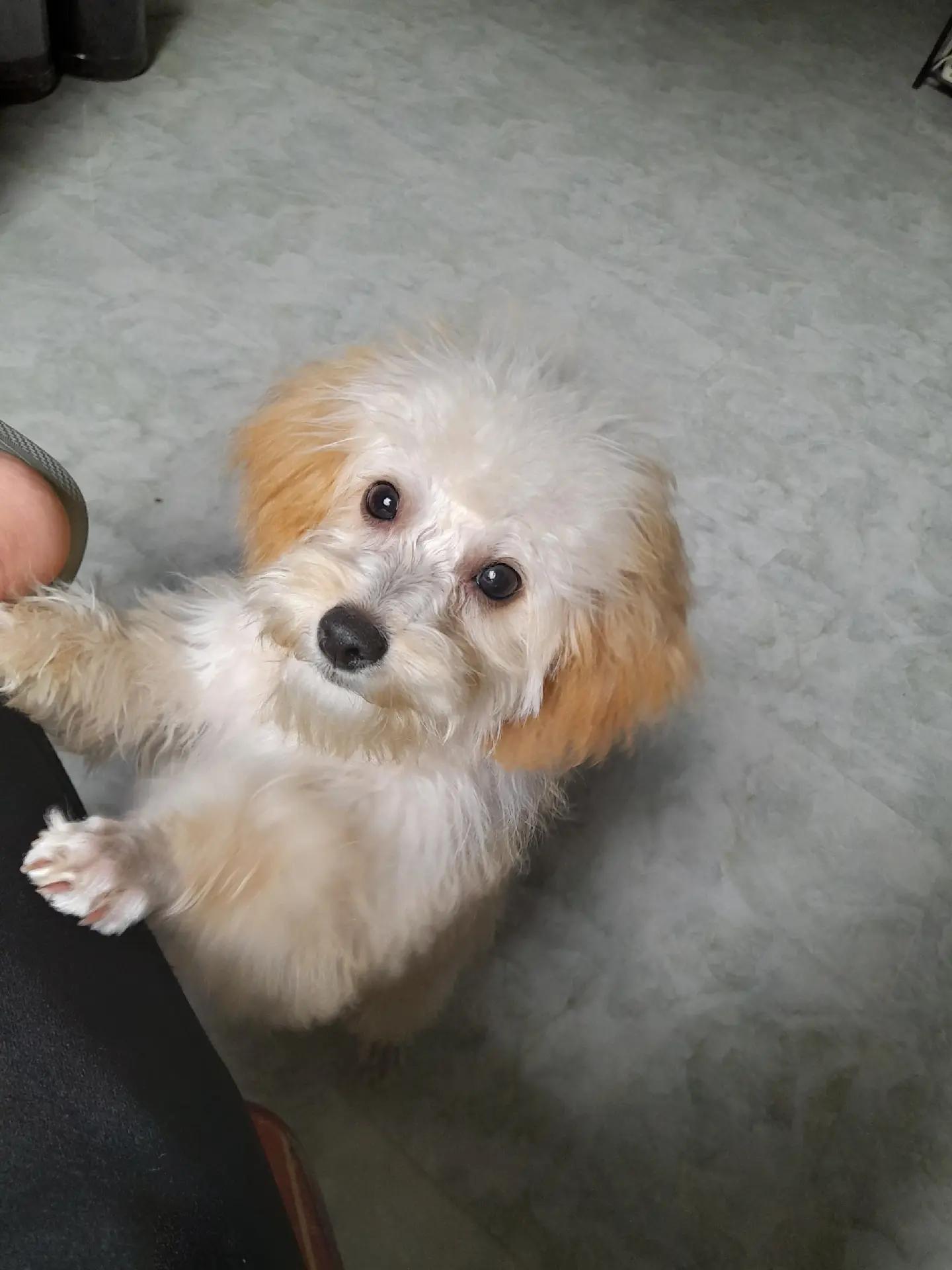 @HoangHuy