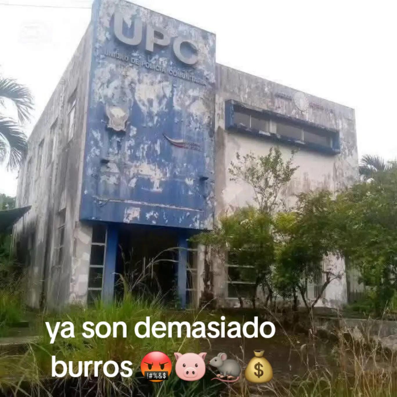 @Pedro Miguel