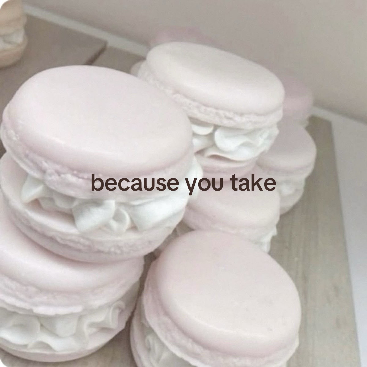 @₍^. .^₎⟆