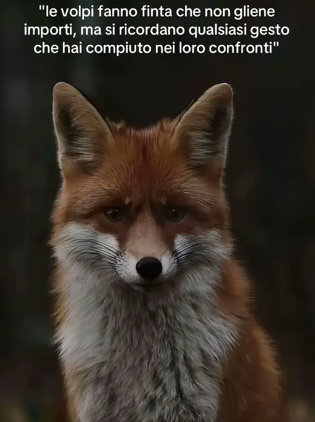 @🎭