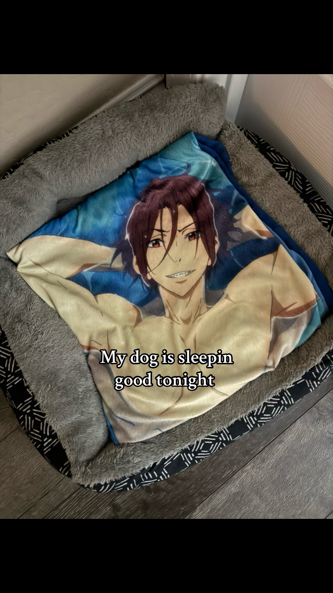 @natsuholics