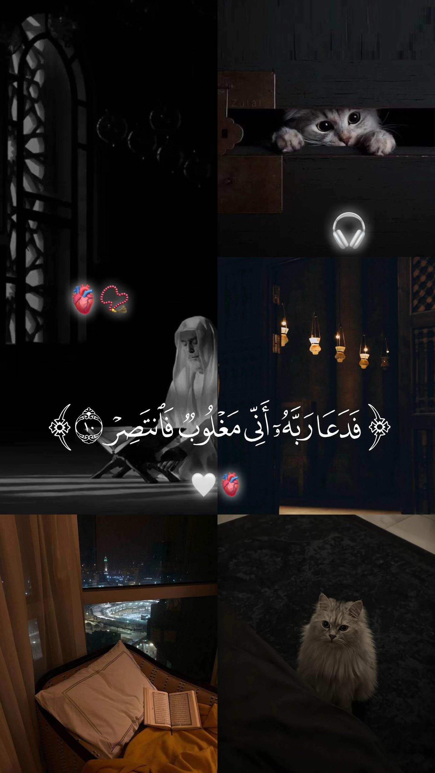 @📿اصيل المركعي📚