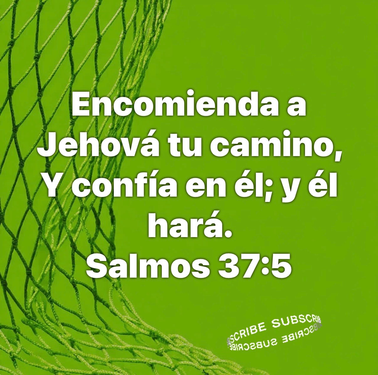 @Danny_arias