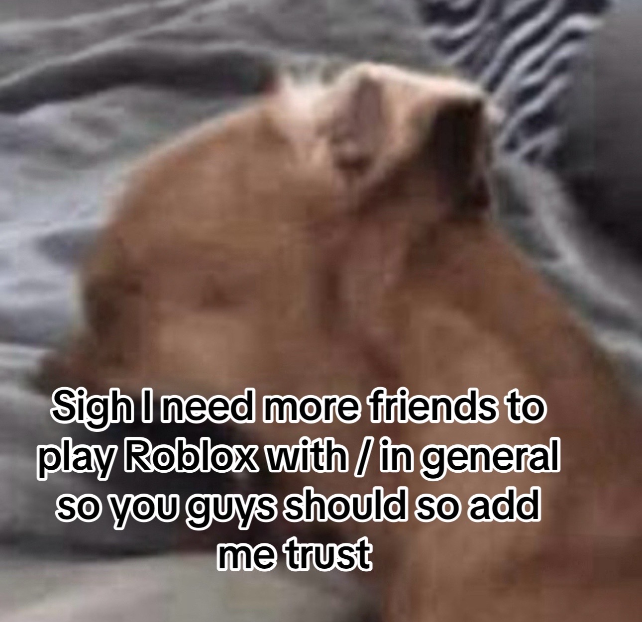 @⋆˚🐾˖° Corey ⋆˚🐾˖°