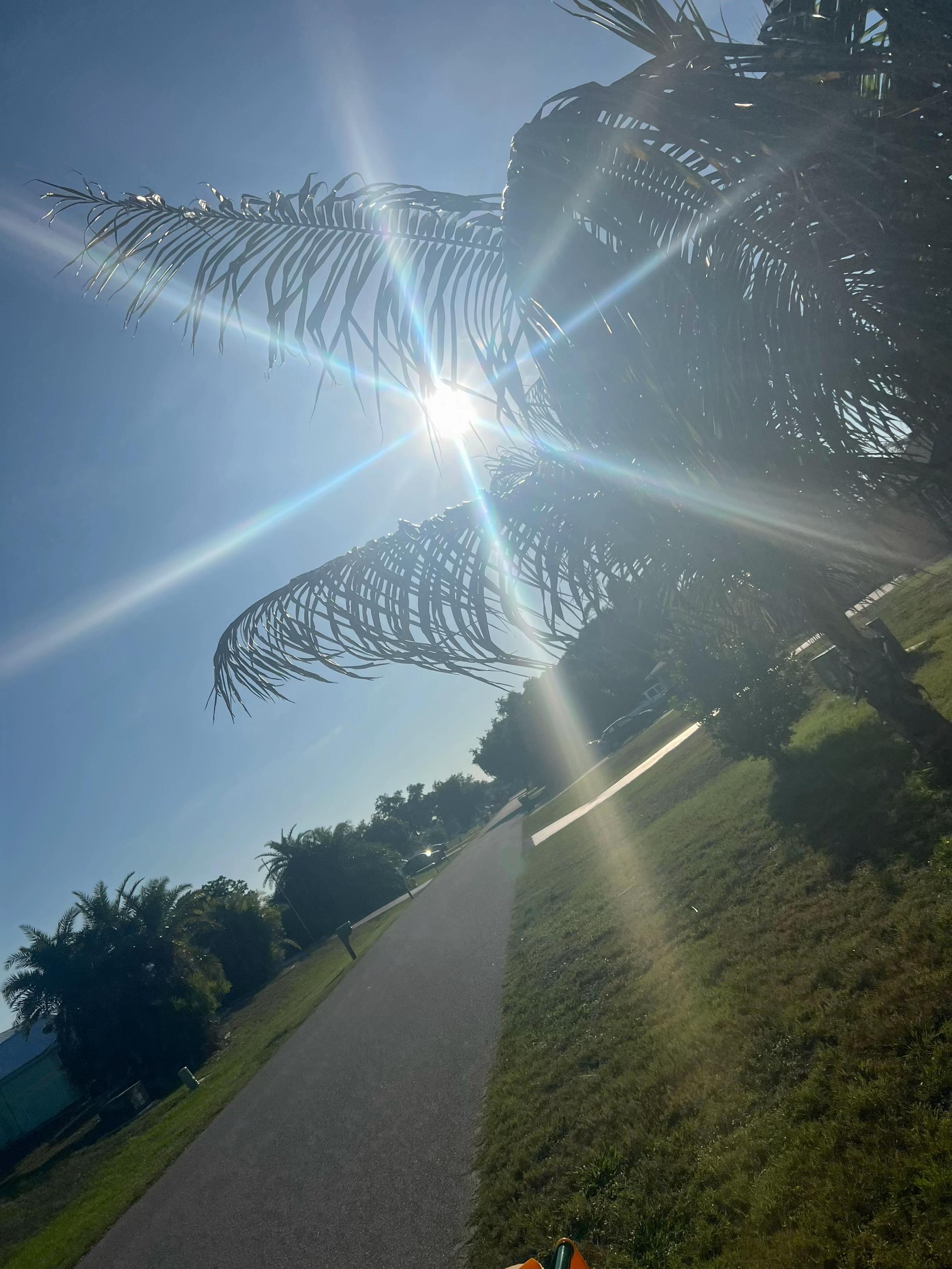 @Trà 🍃