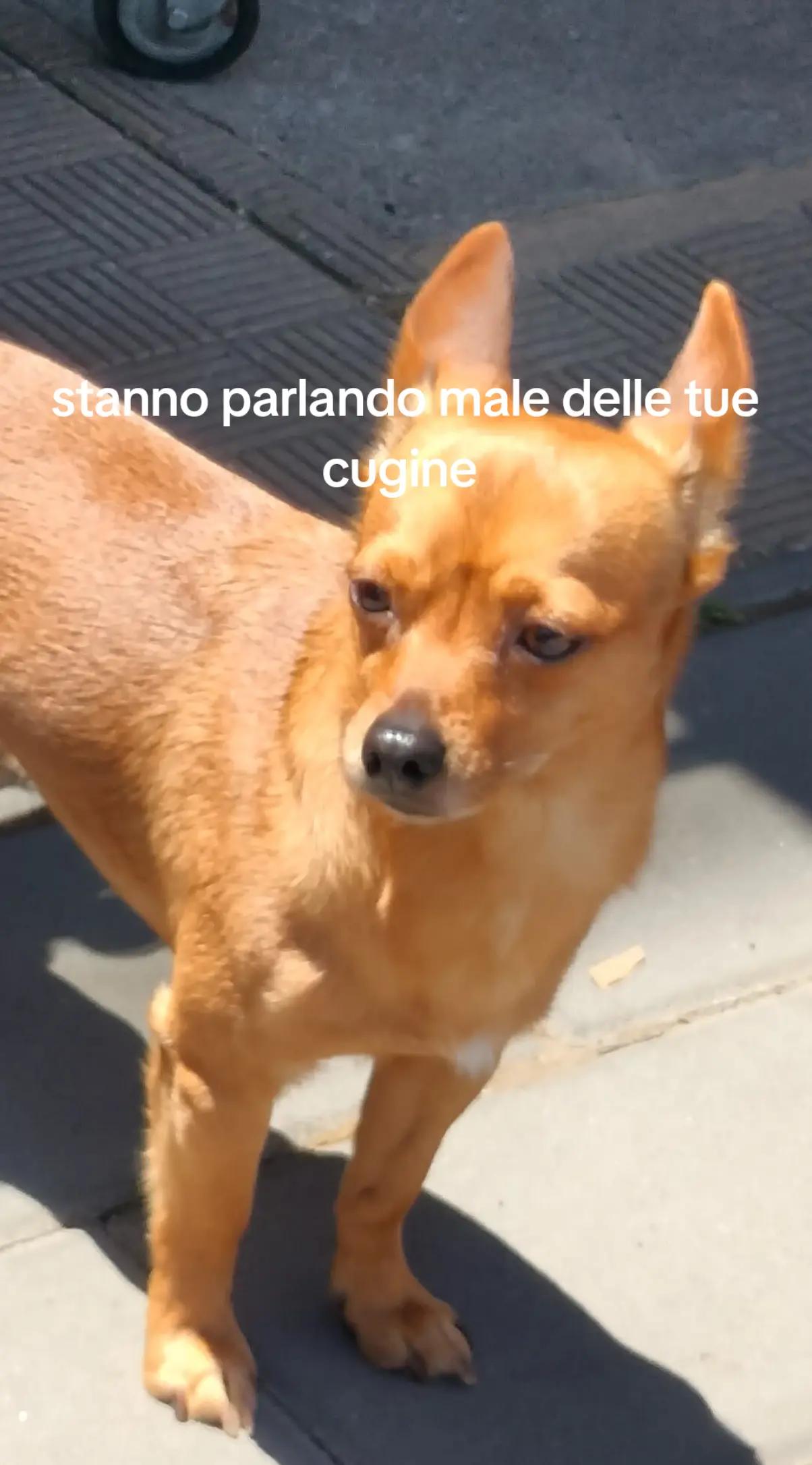 @Caterina caravello👑👑👑