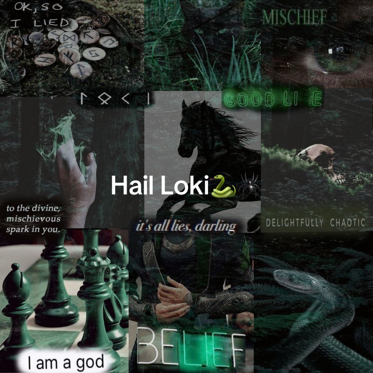 @SonOfLoki🐍🕷️