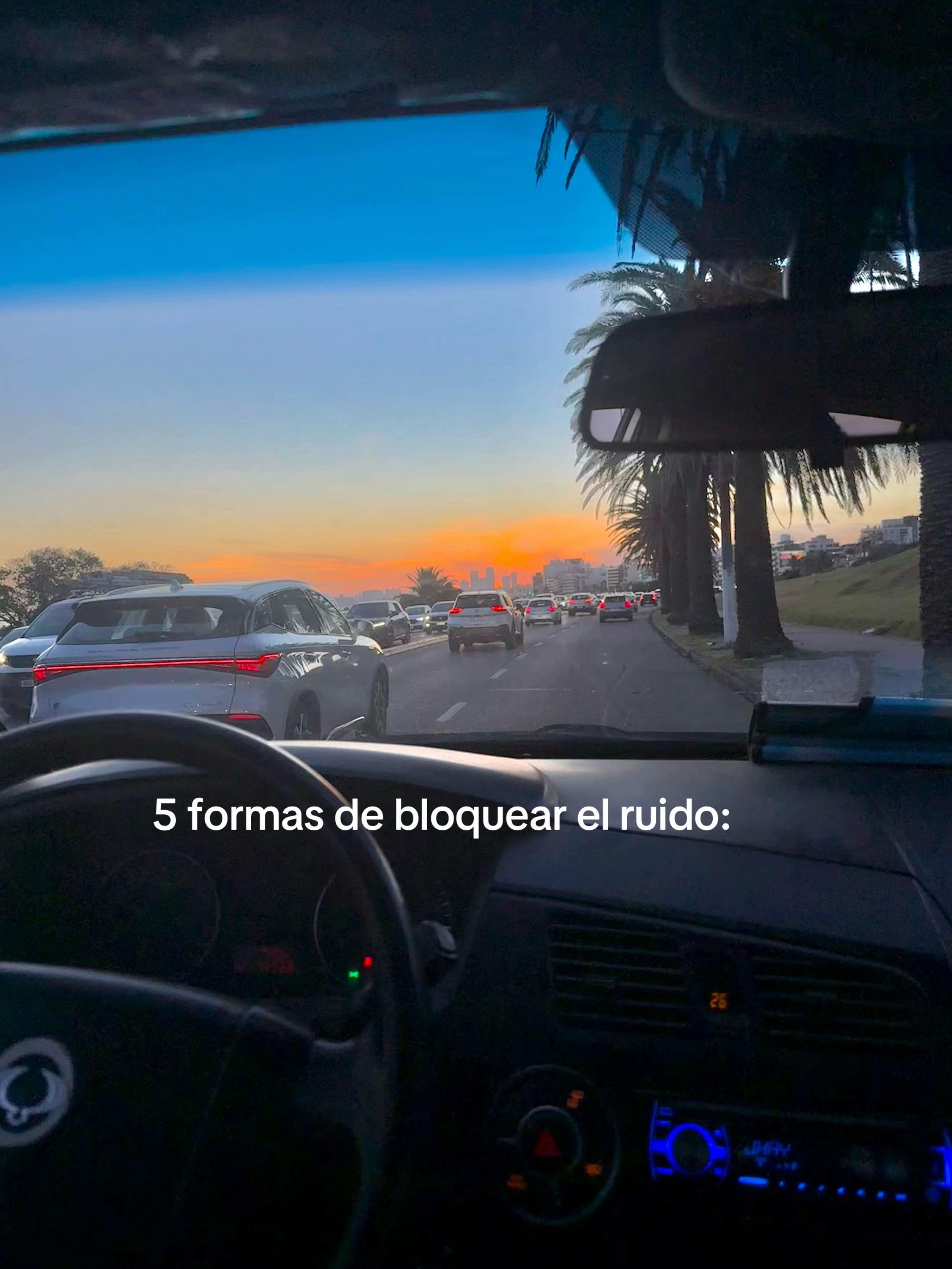 @Giulii 🦦