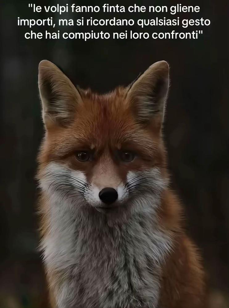 @🎭