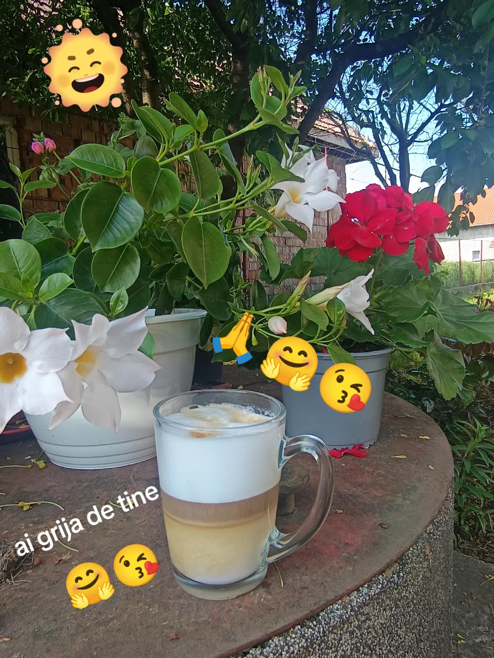 @🇦🇩MHA_miky23.2💋🇮🇹
