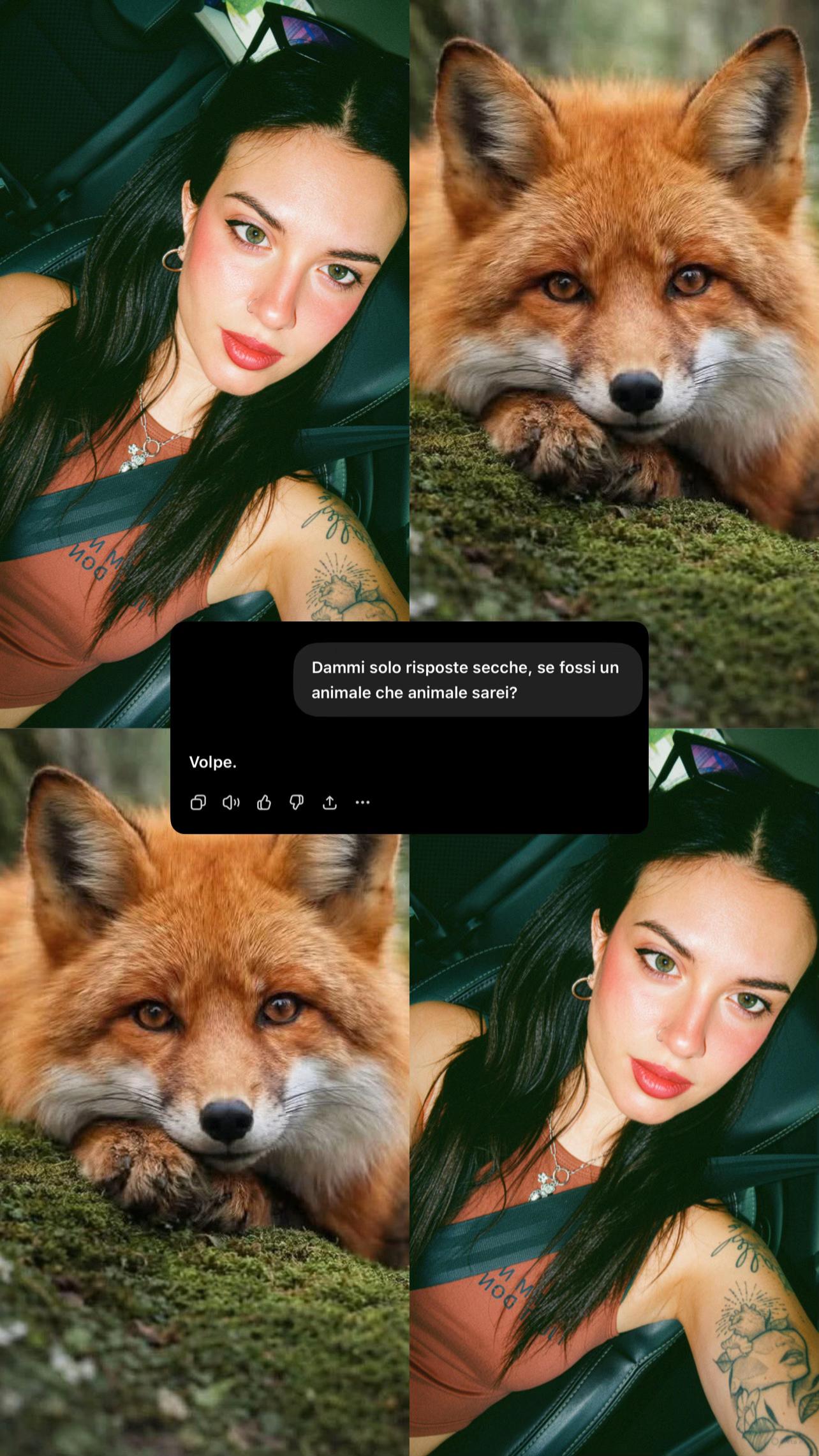 @vittoriella