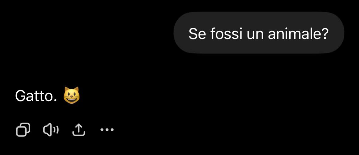 @Aurora Morando