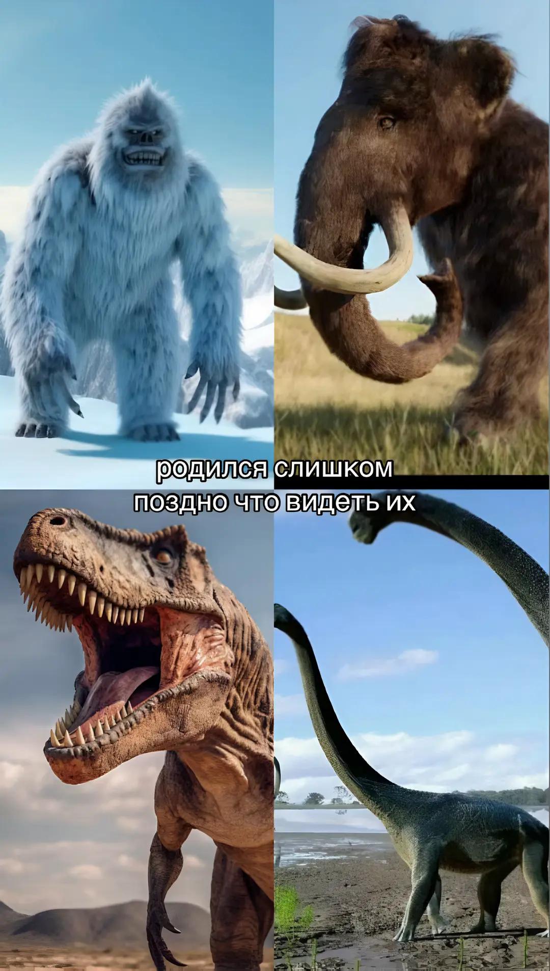 @markov
