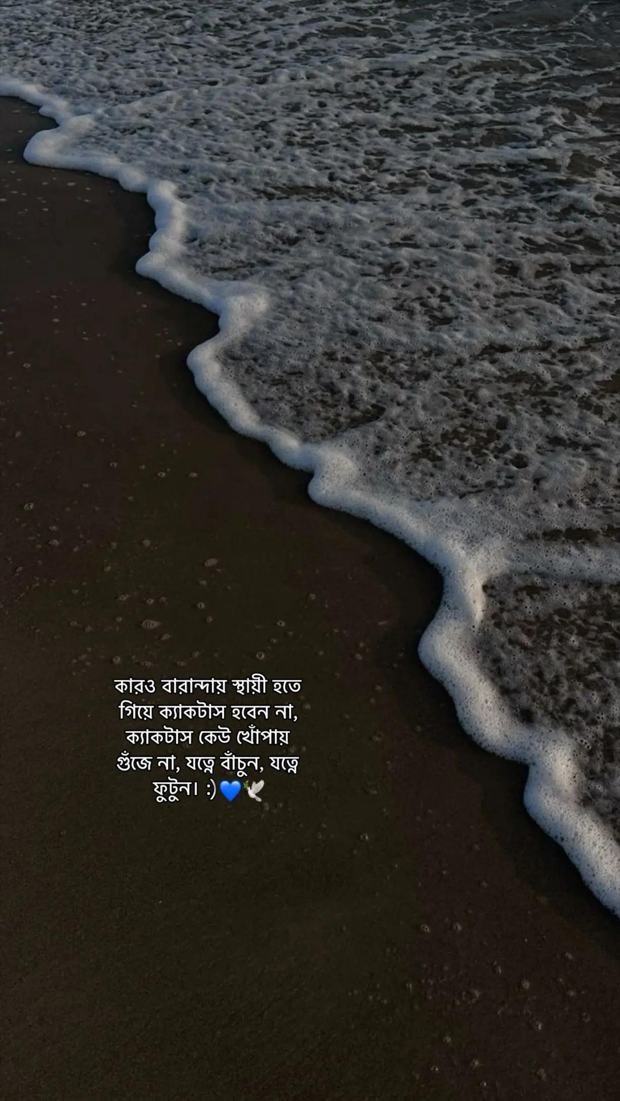 @𝗣𝗮𝗿𝗶𝘇𝗮𝗮𝗱 - ラトゥル 👑🇧🇩