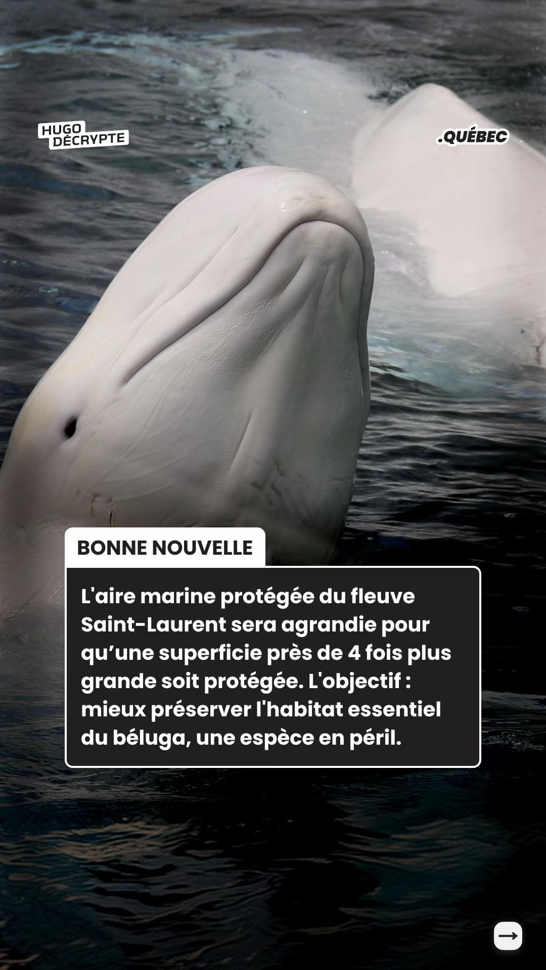 @hugodecrypte.quebec