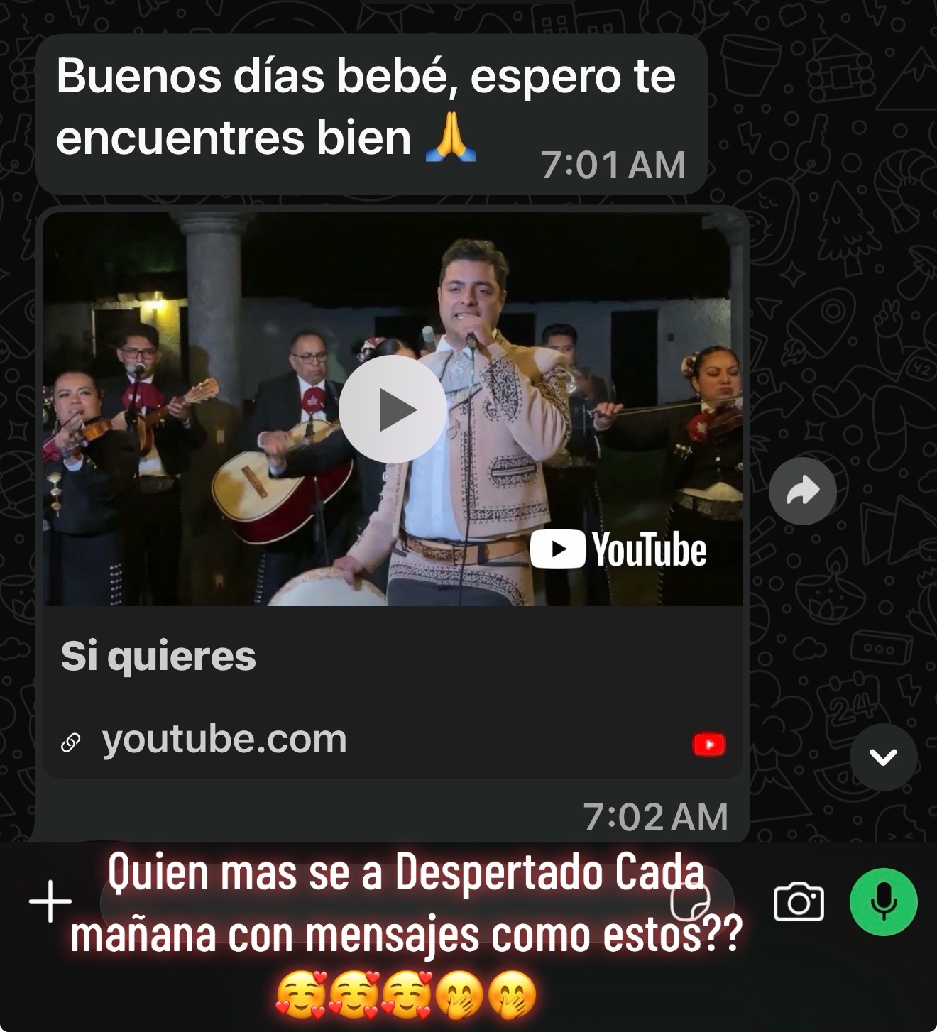 @soyXol888