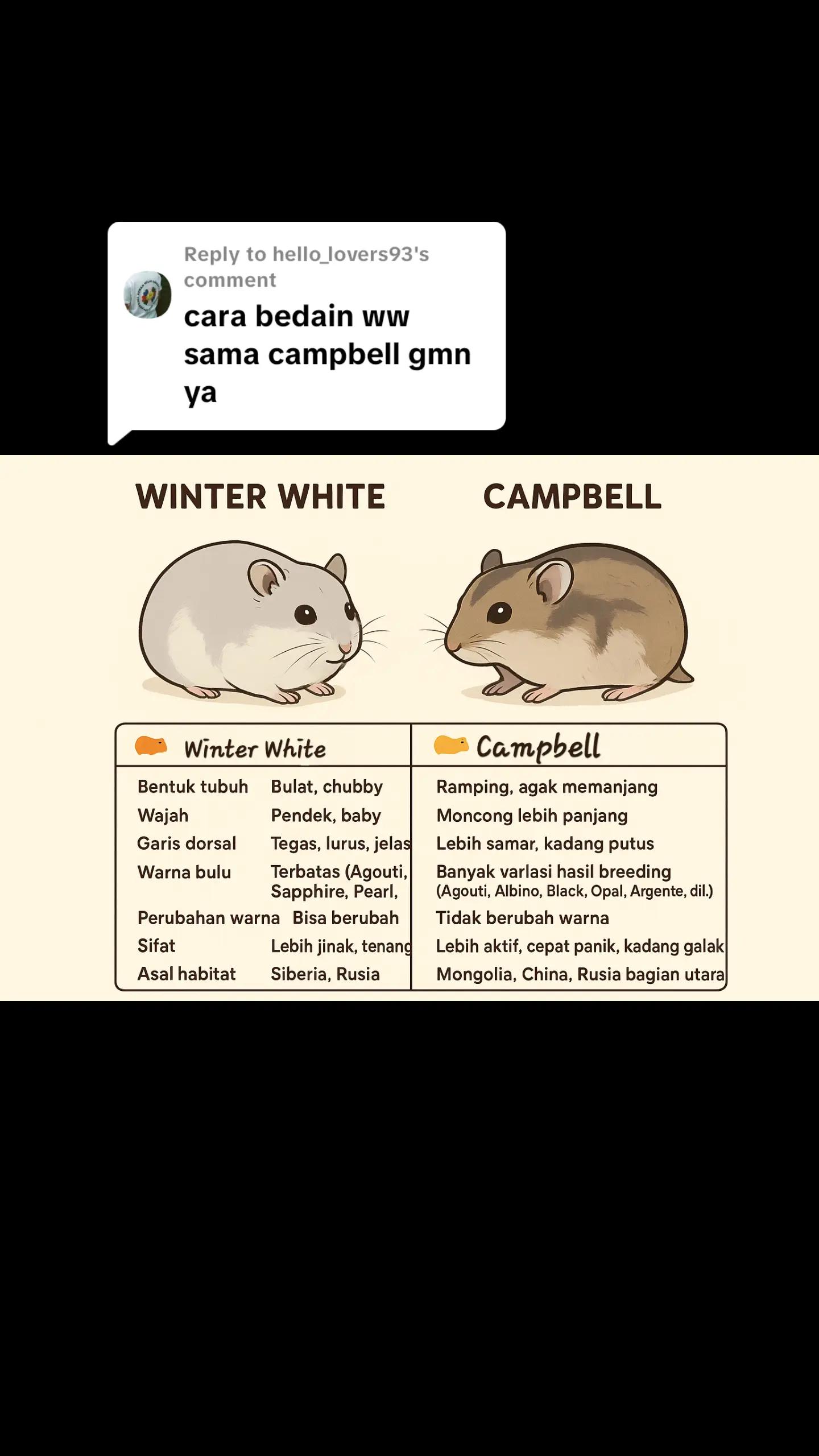 @Hamsterfiles