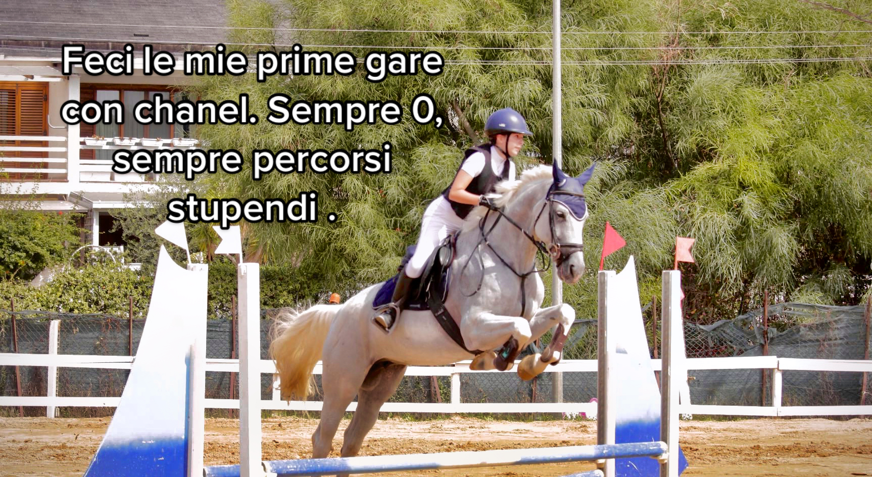 @Eleonora scrima