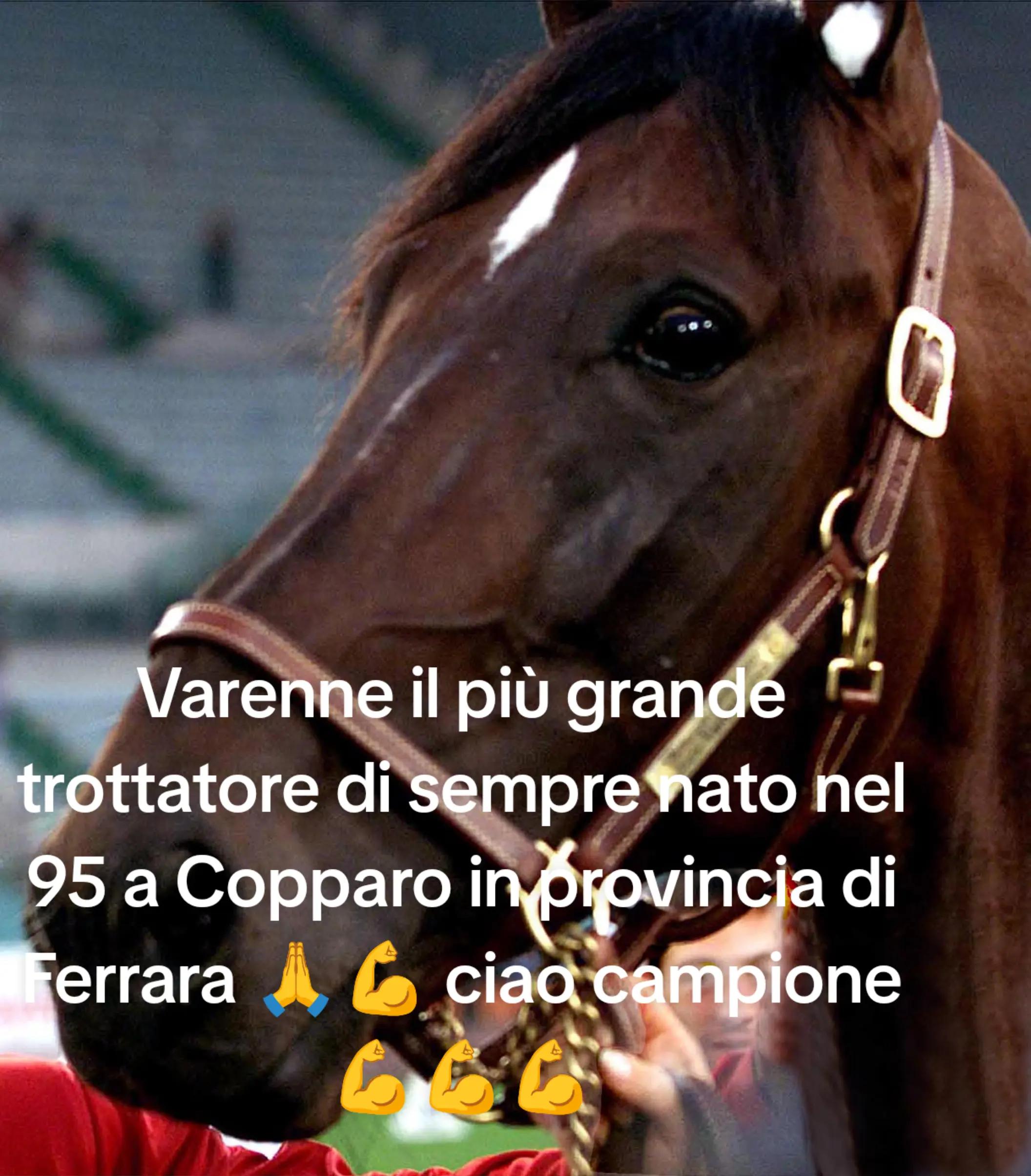 @Giovanni