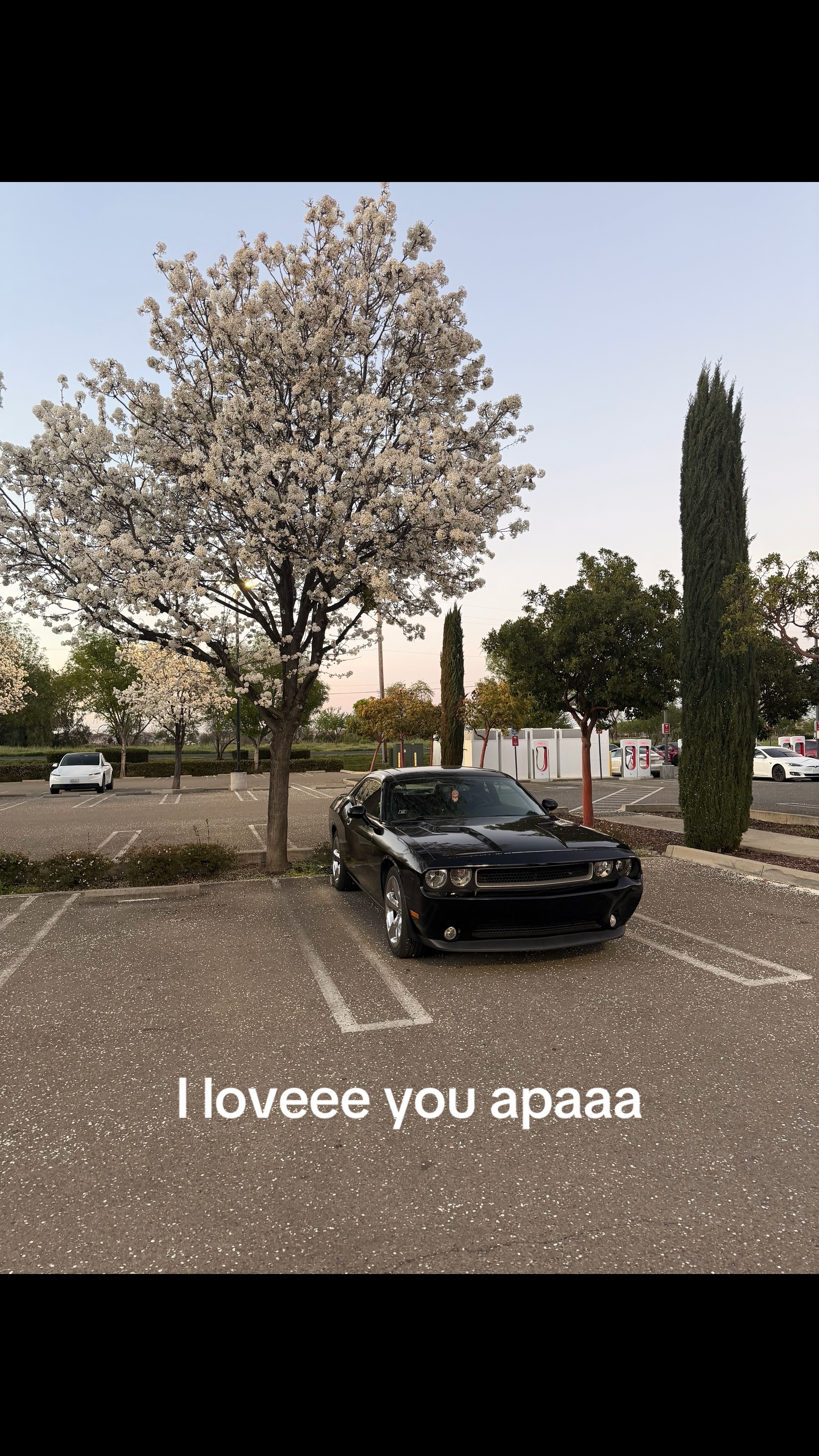 @BayAreaRaf
