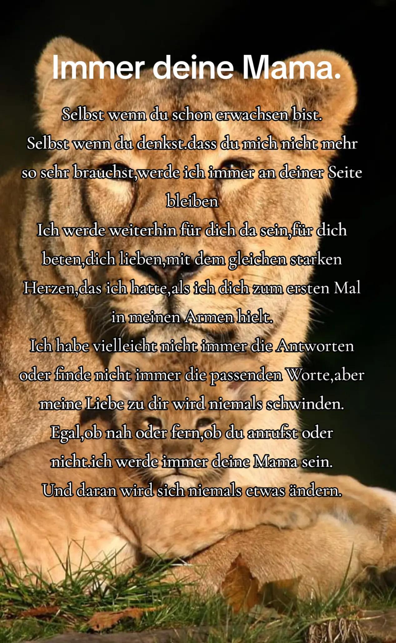 @𝕷𝖎𝖔𝖓-𝖌𝖎𝖗𝖑 🦁