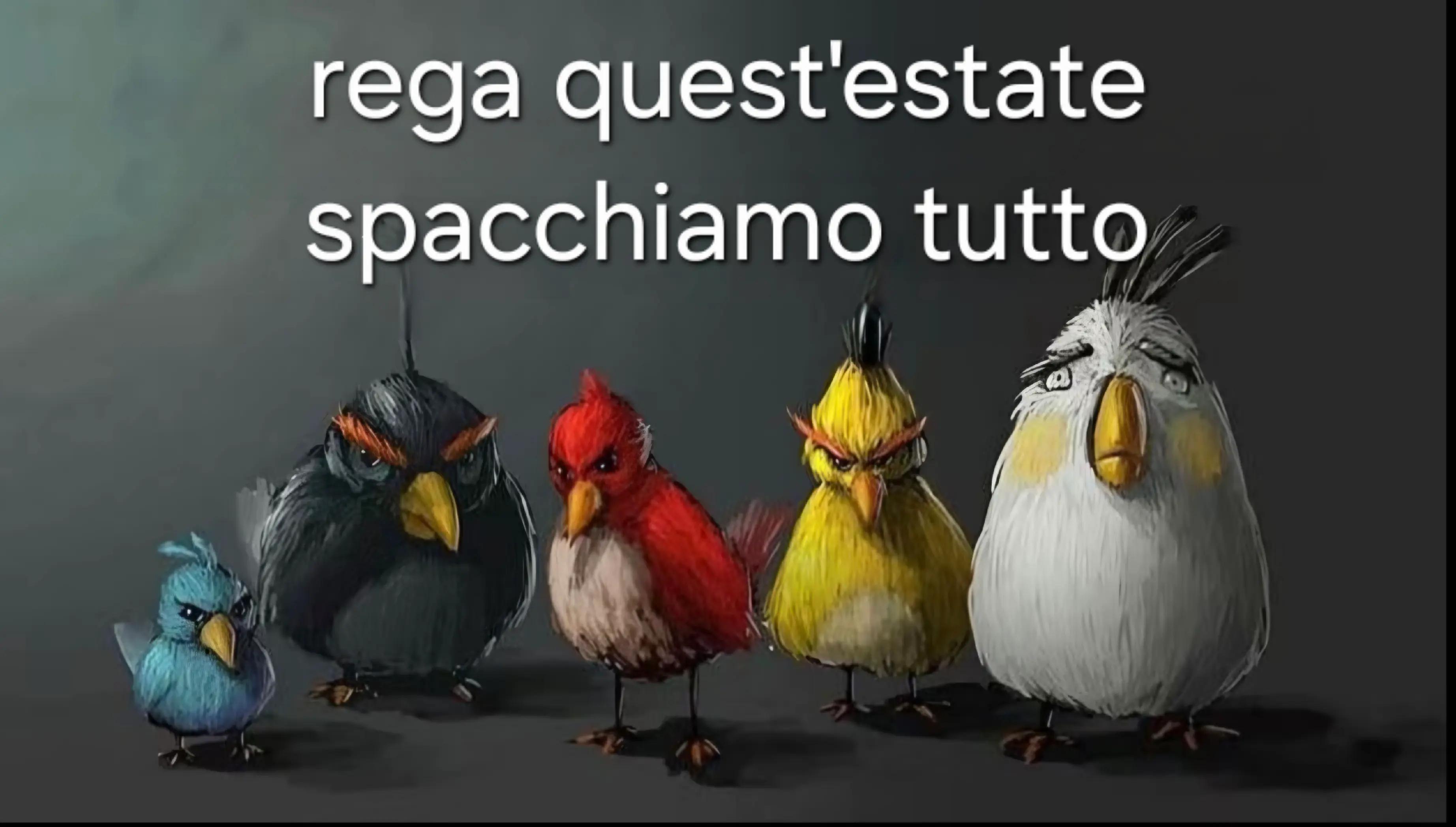 @sacco🌟