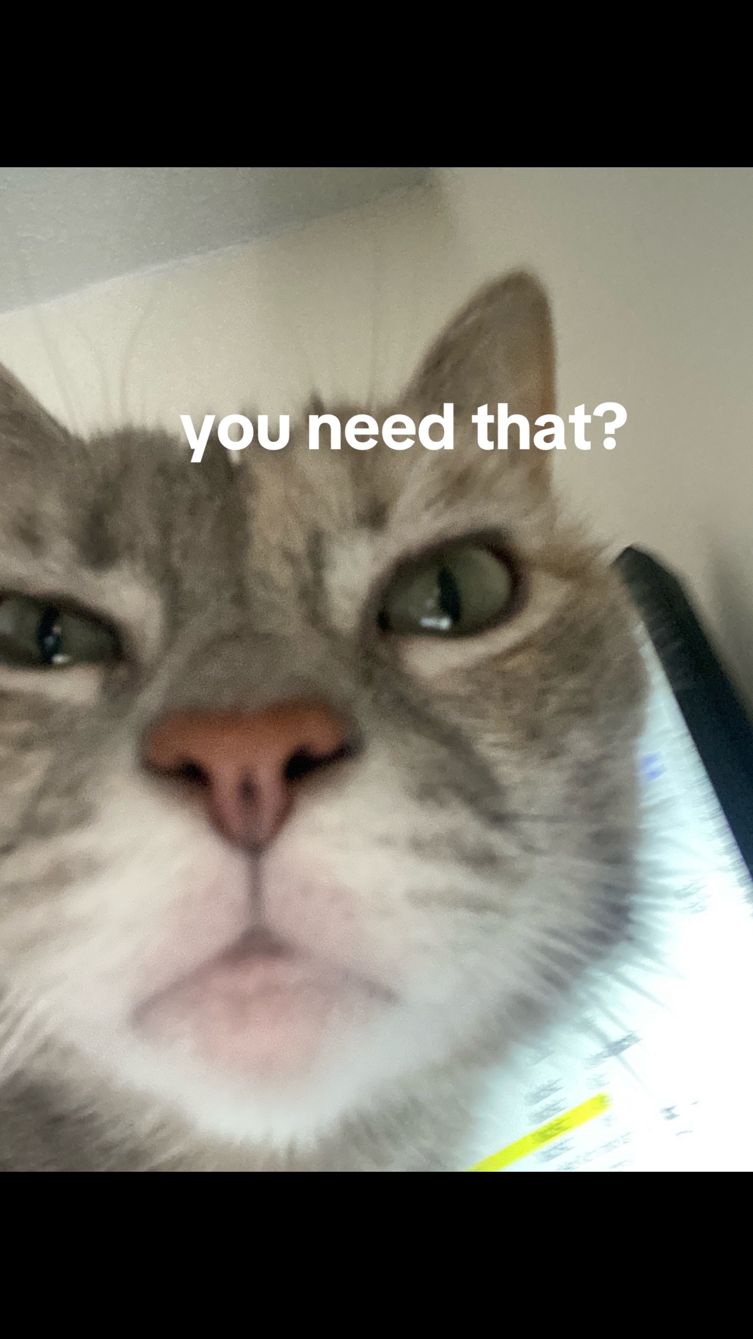 @Stephanie