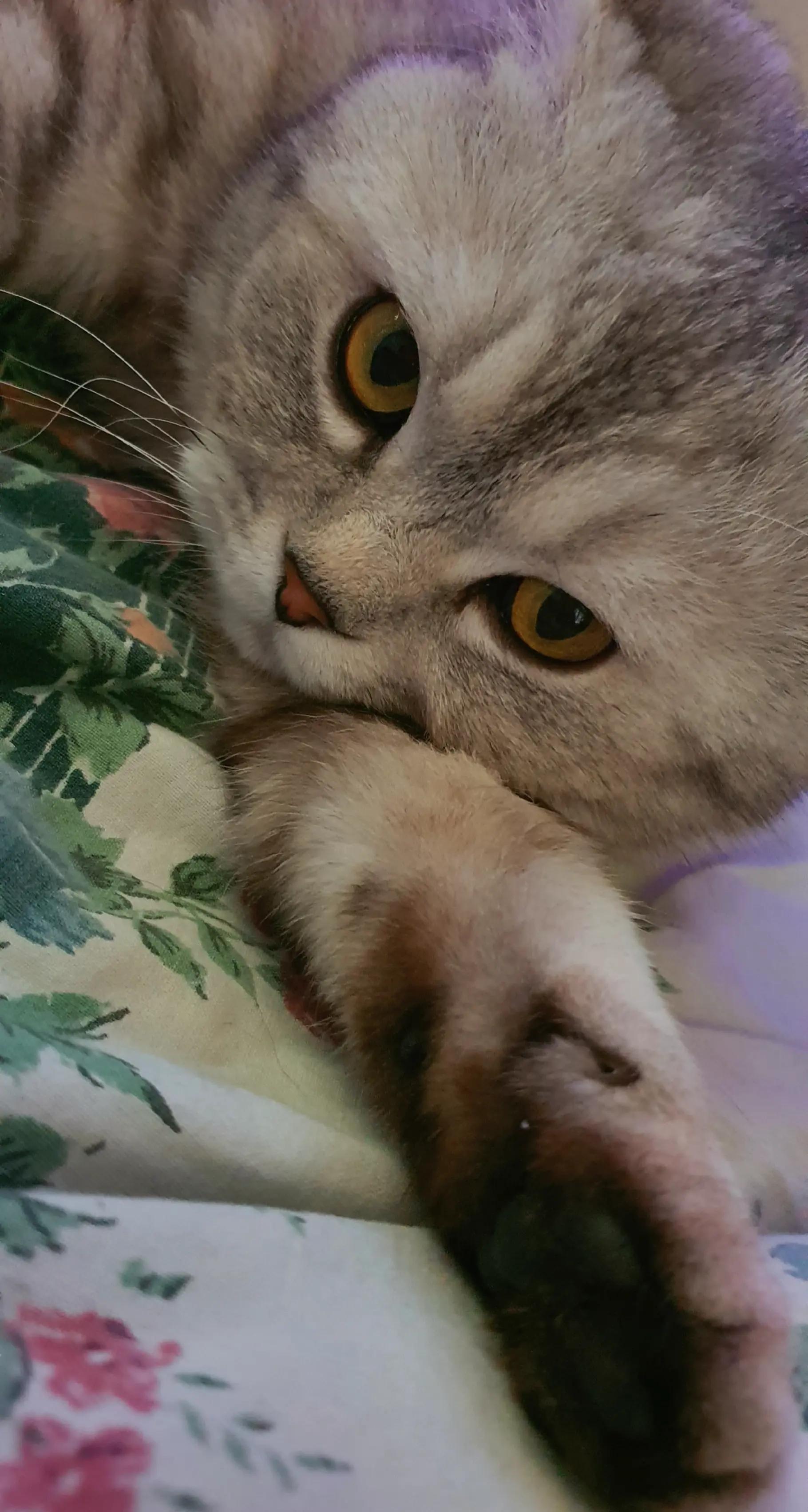 @๐ต๐๐๐๐
