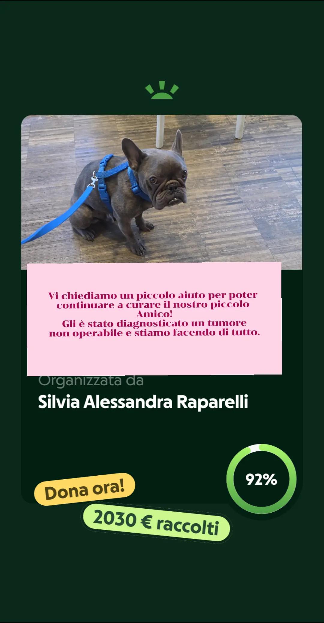 @⭐️SilviaStarGossip ⭐️