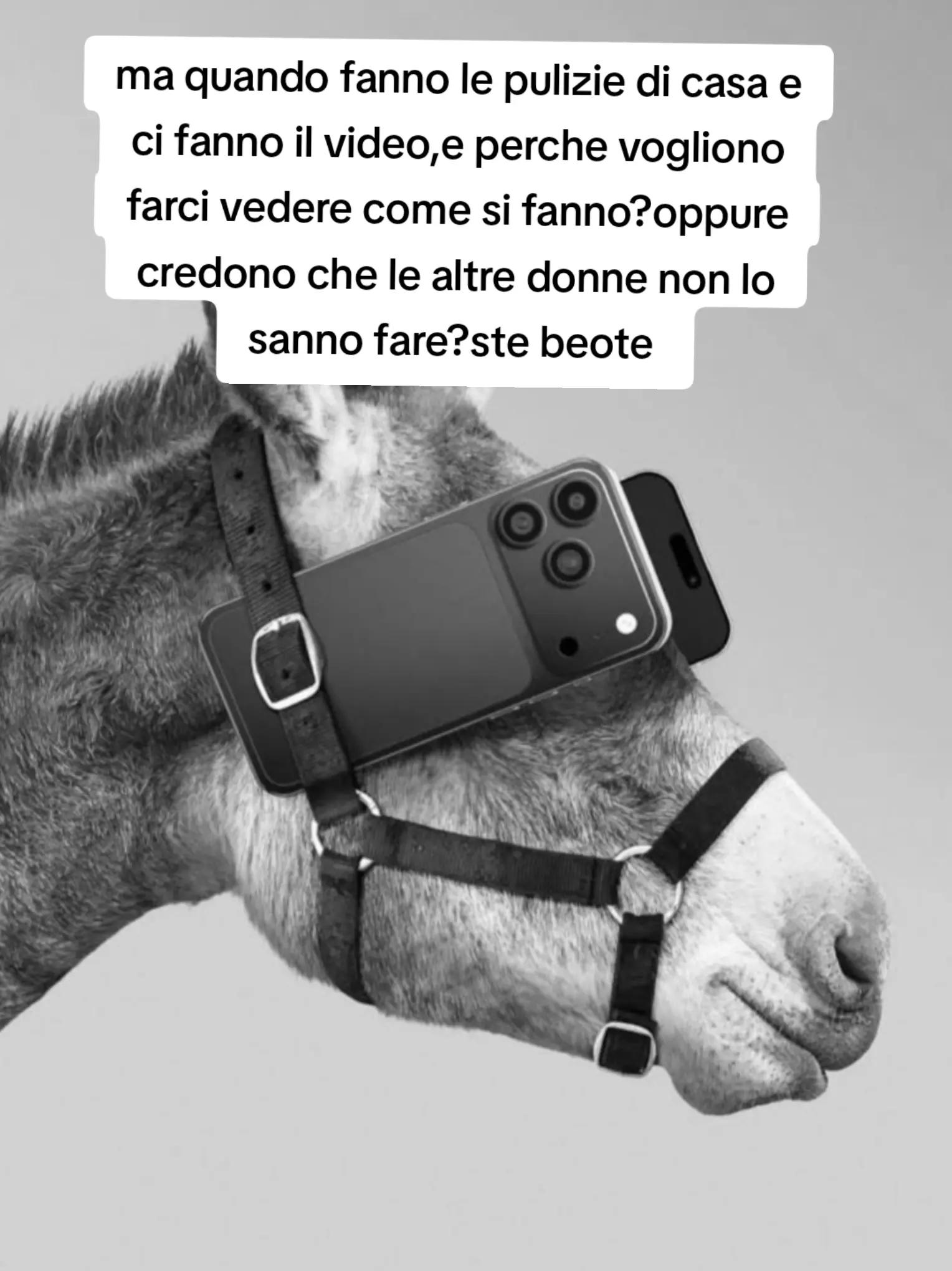 @ciropugliese379