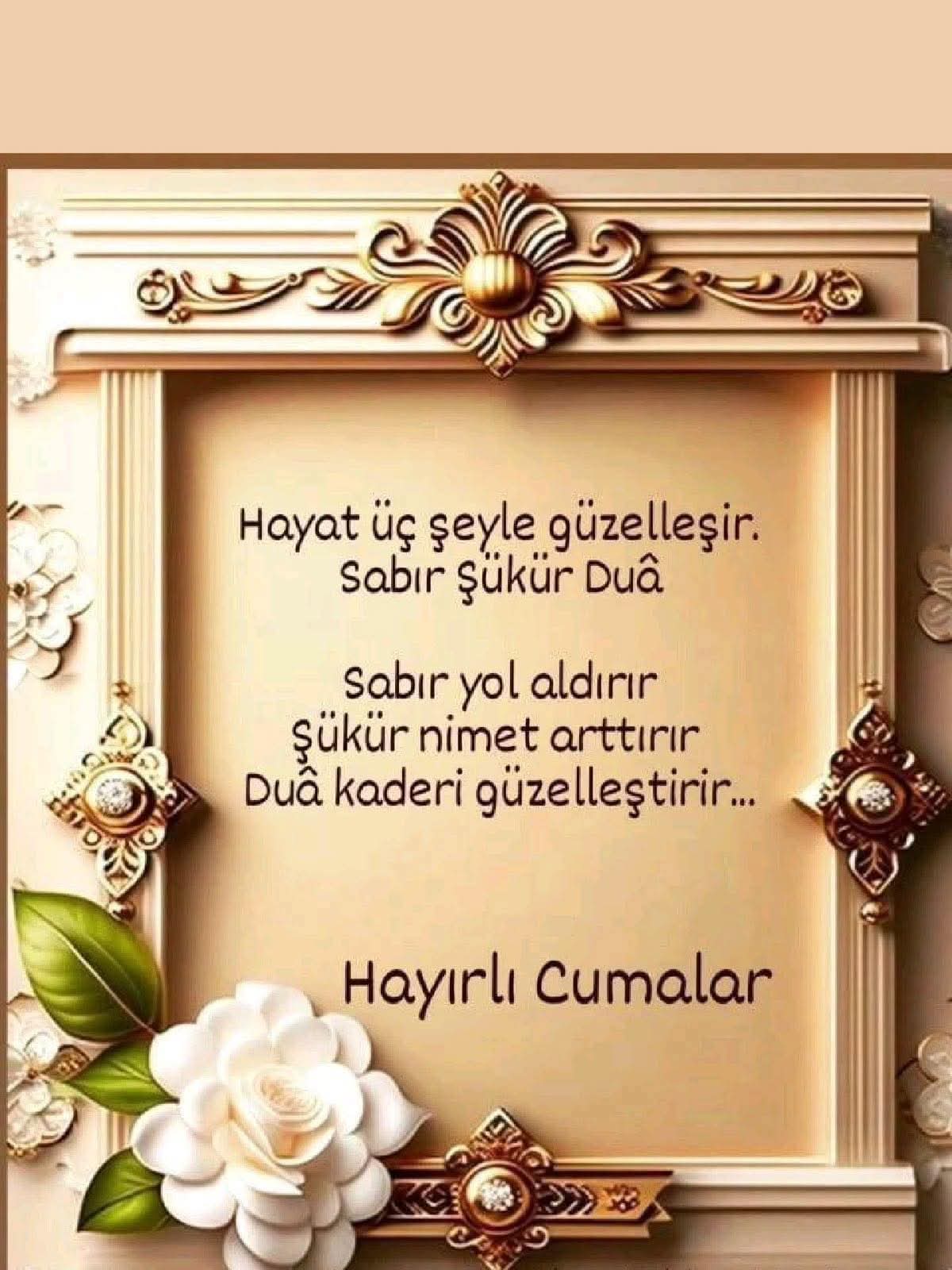 @leyla