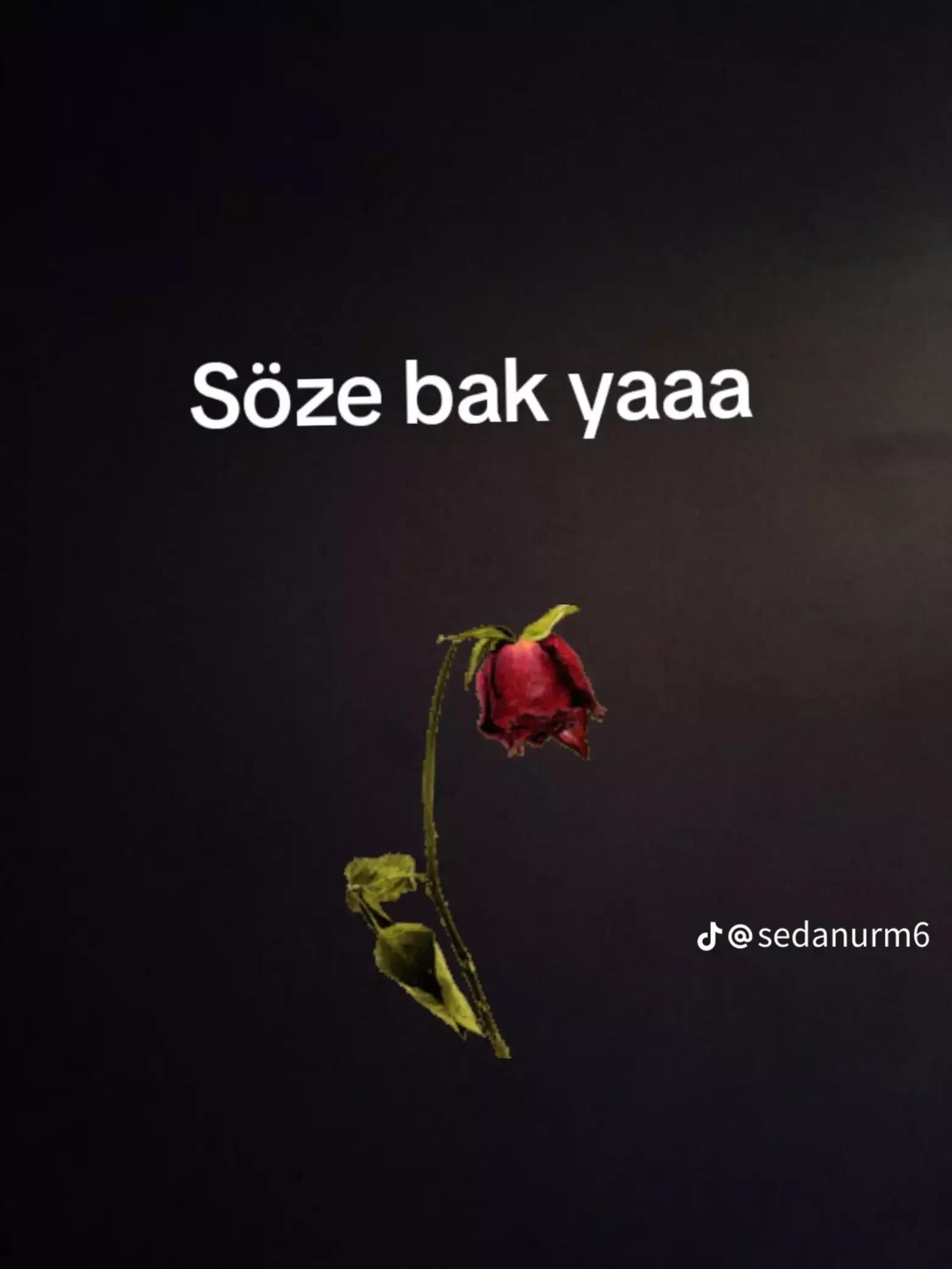 @Samir Alper