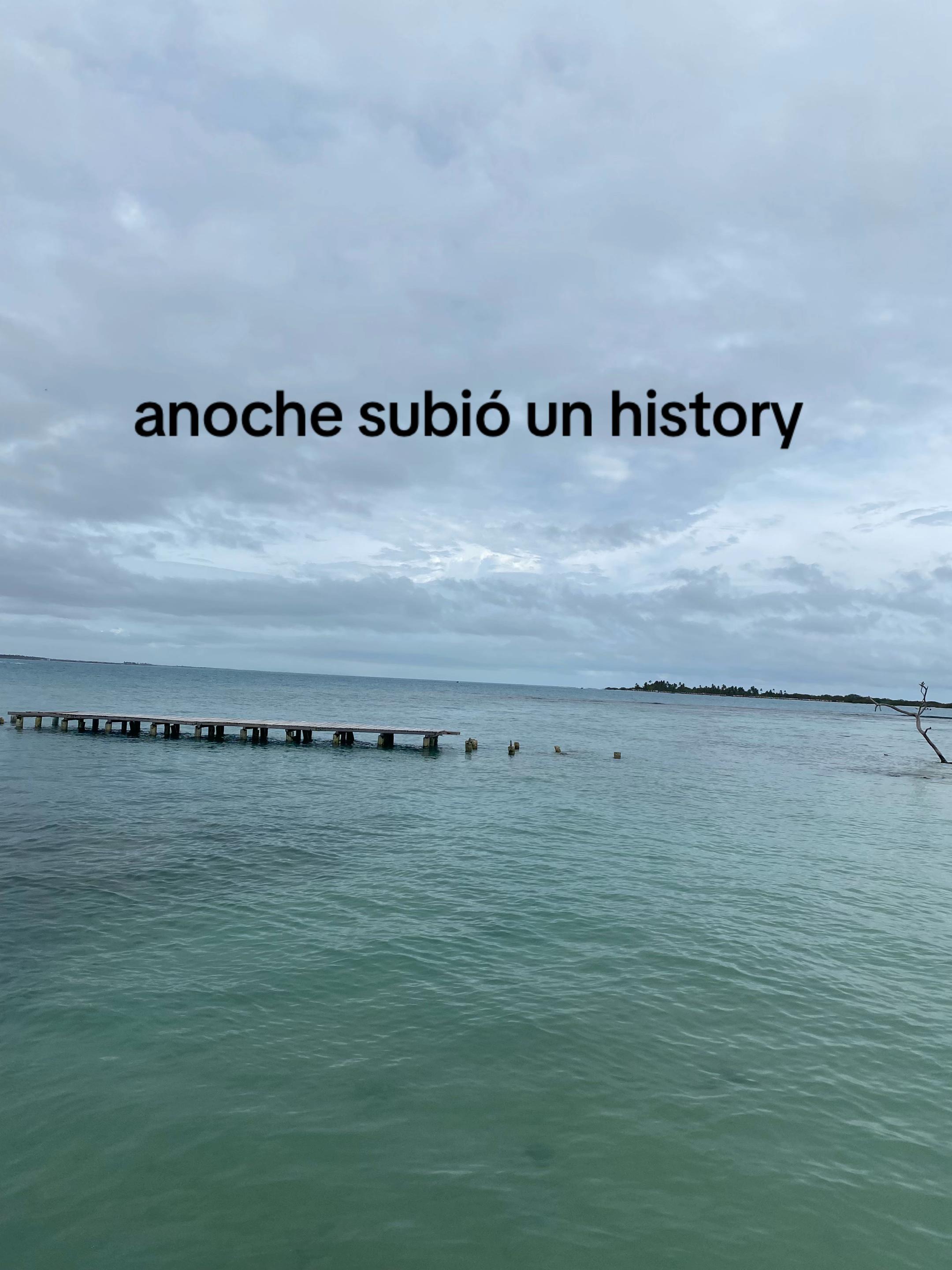 @camiacosta