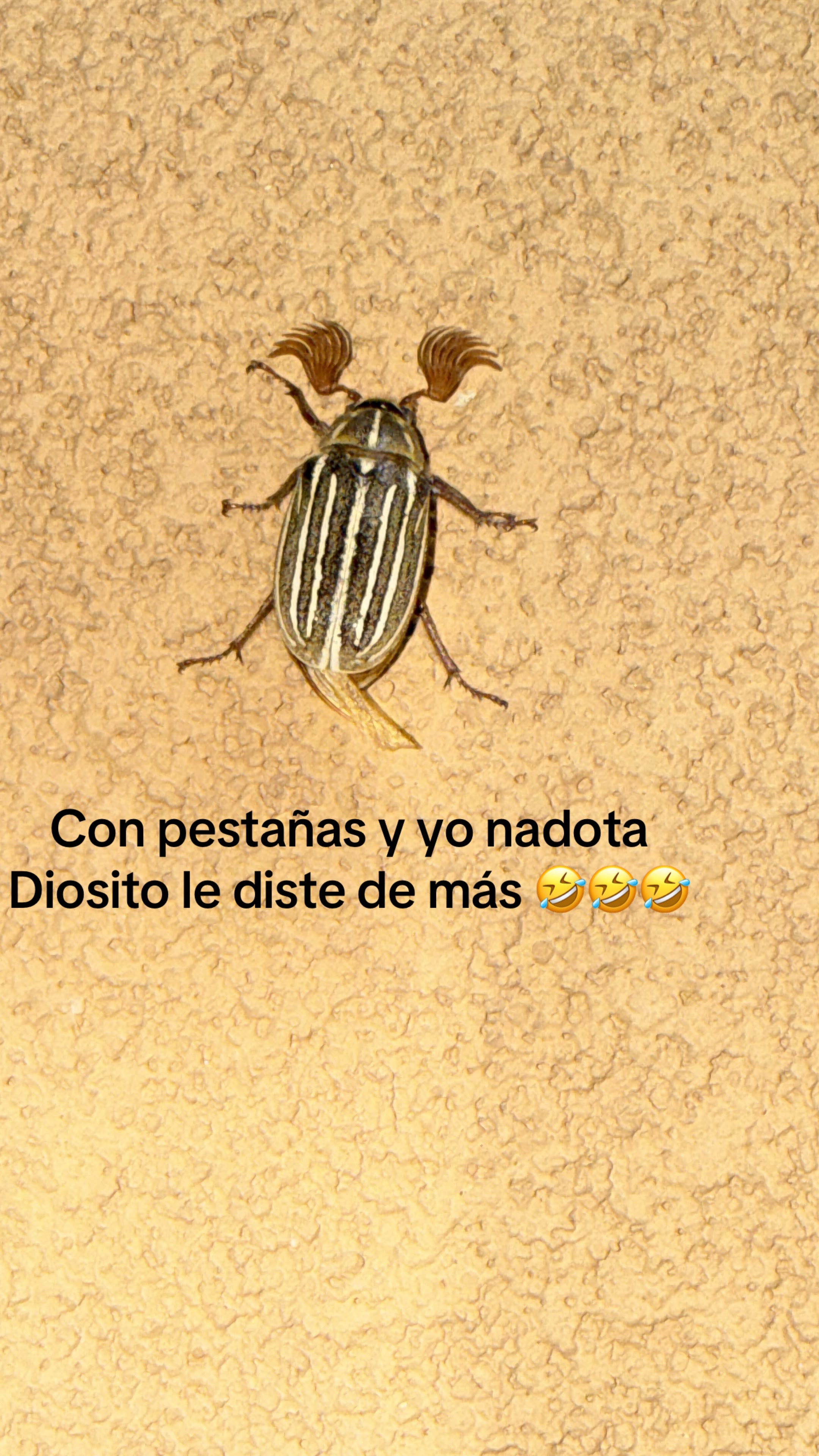 @🦋Cukis ☘️🩷