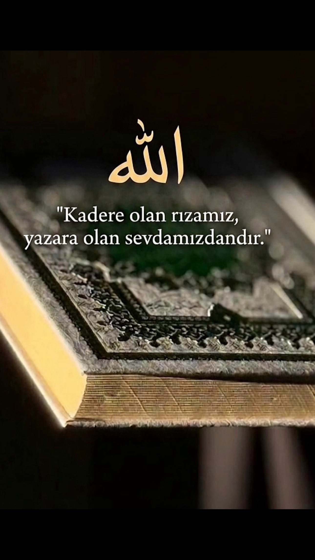 @🤘🇹🇷28sevimsiz28🇹🇷🤘