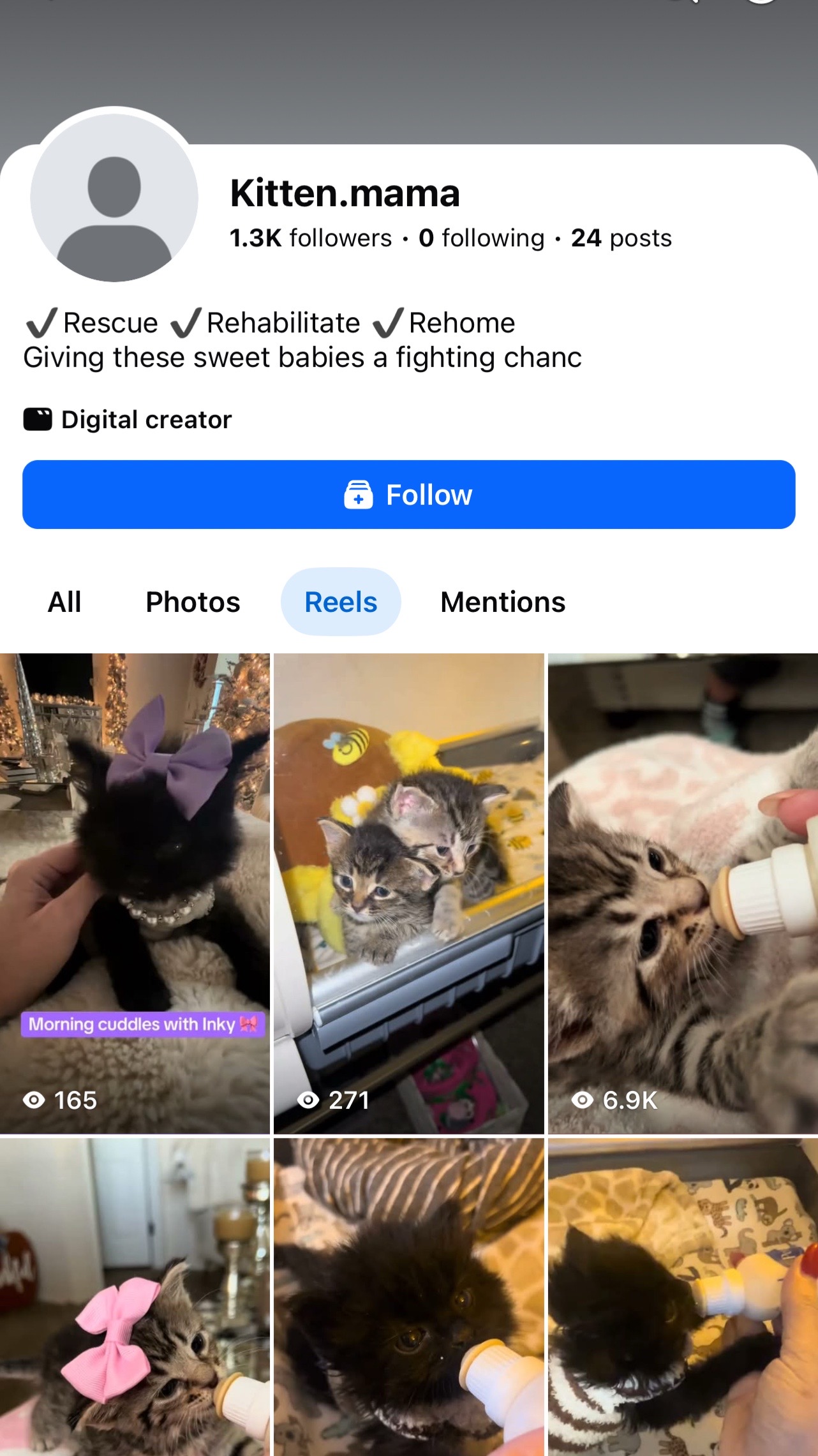 @Kitten.mama