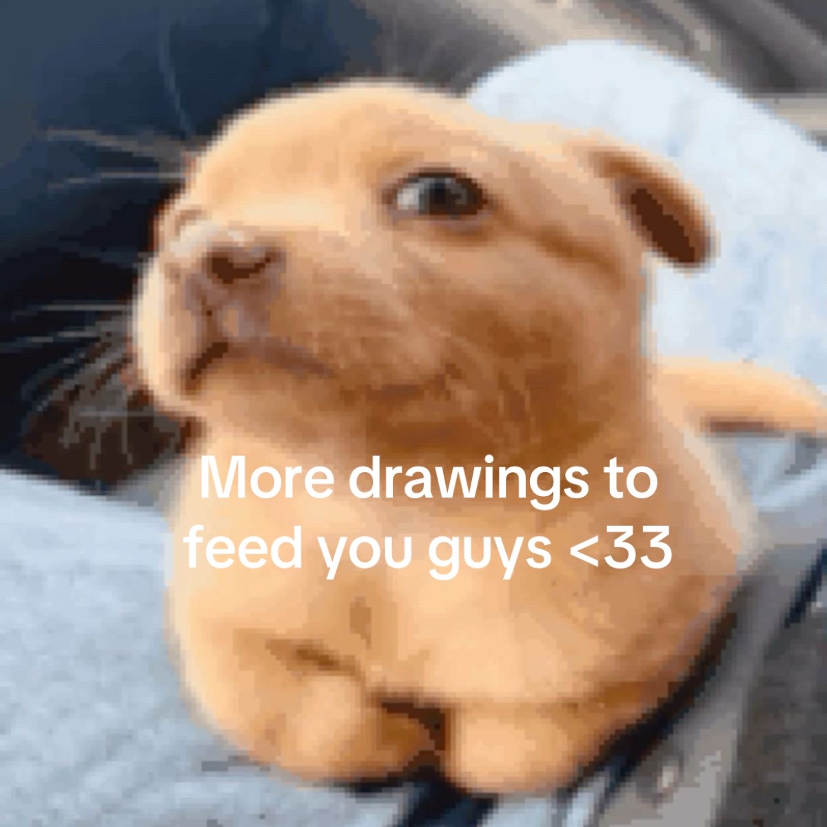 @Tabby Ⓧ