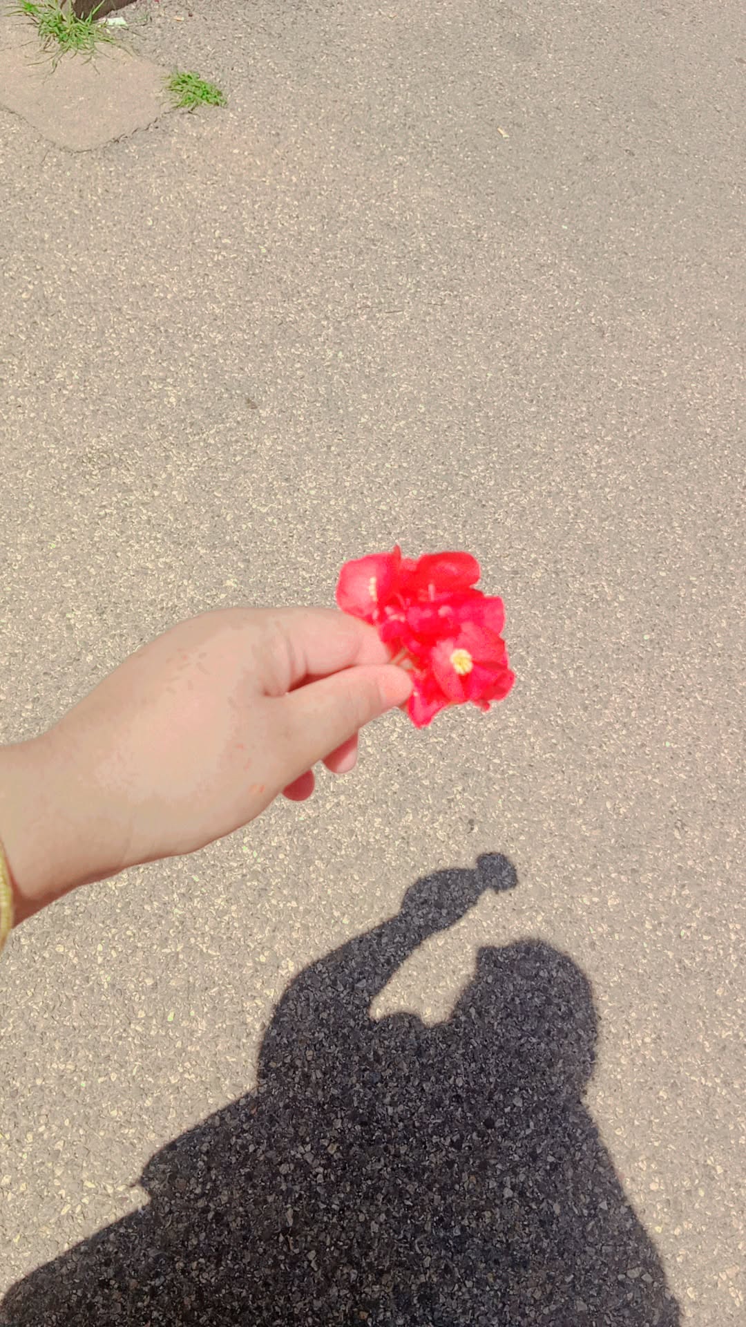 @🌷🦋Mukta 🦋🌺