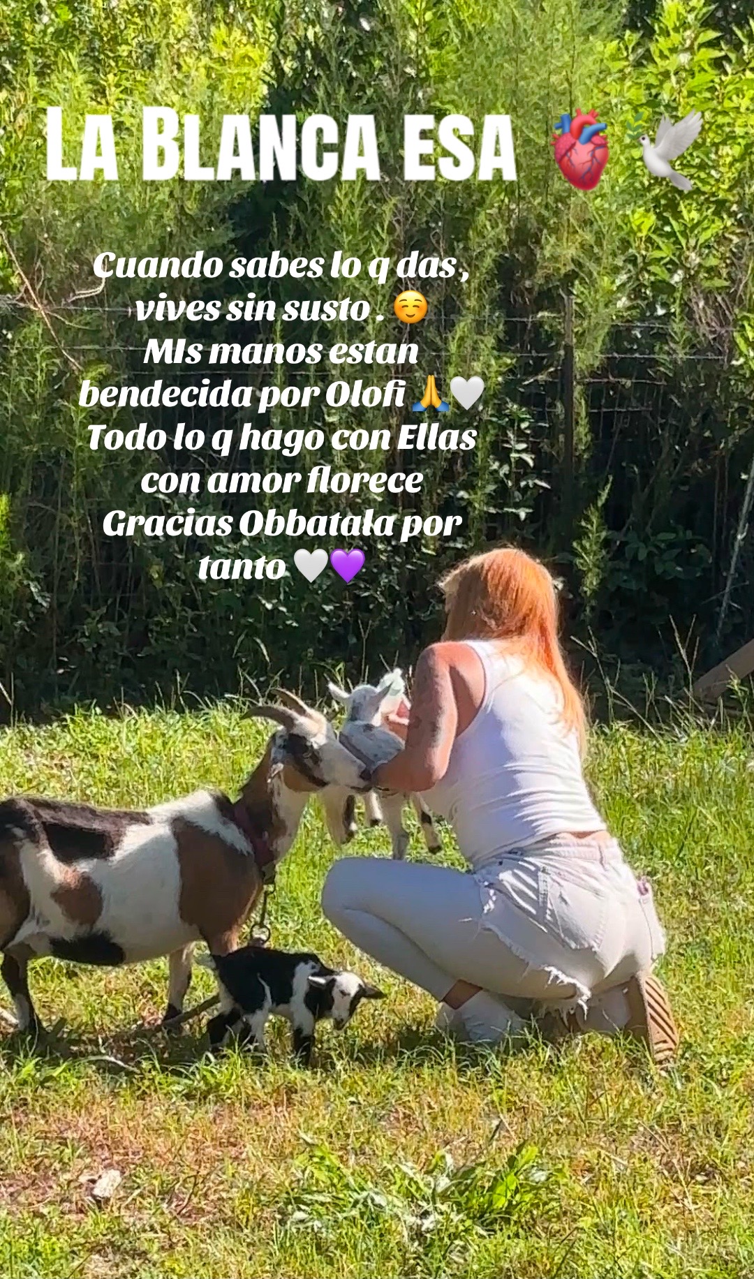 @Lacasadeeggun🤍🖤